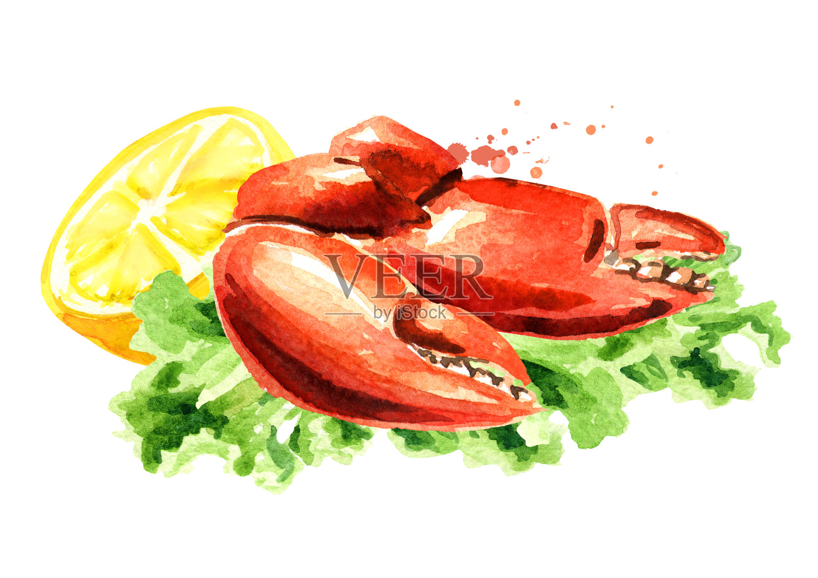 煮蟹钳与柠檬，海鲜，水彩手绘插图孤立在白色背景插画图片素材