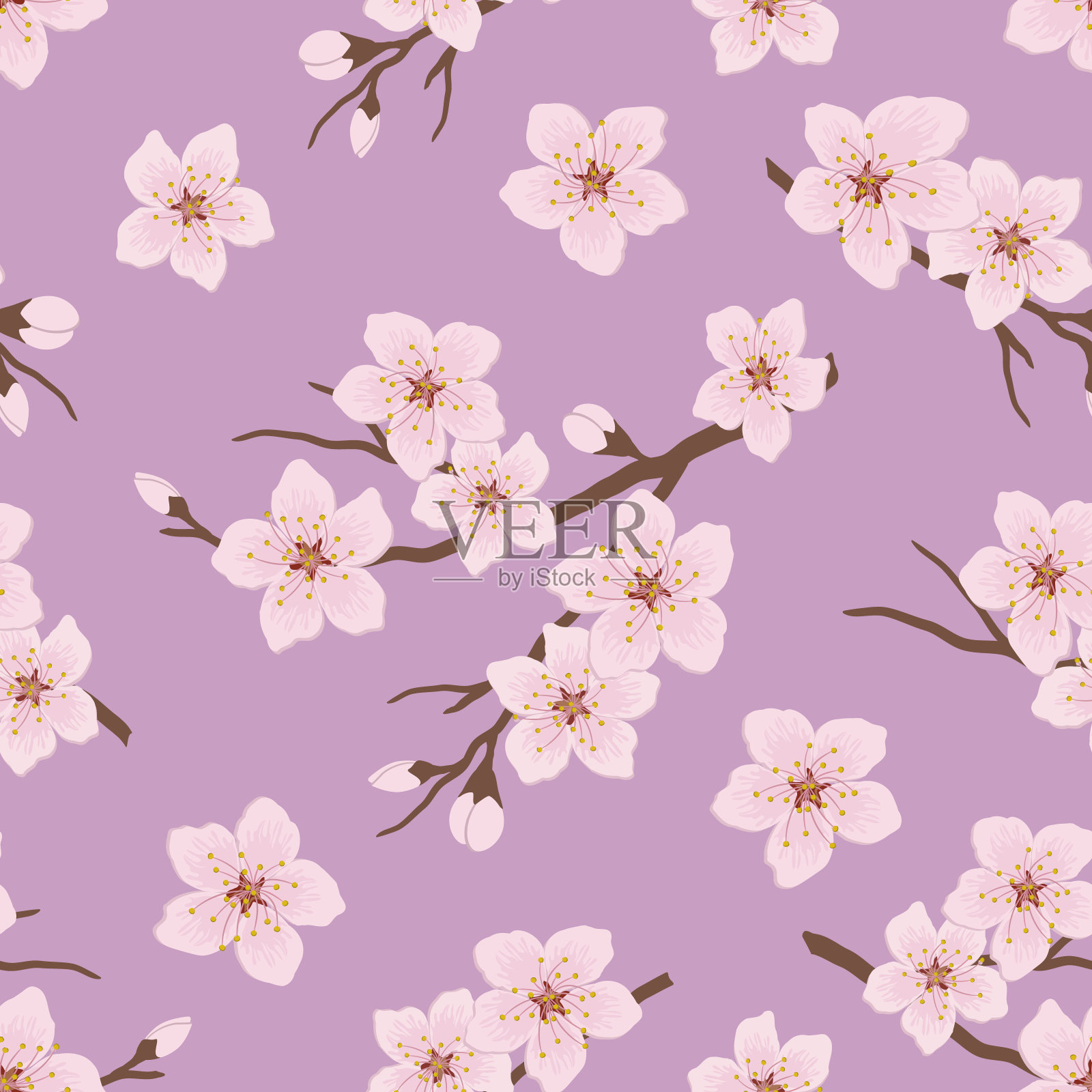 无缝模式与开花的樱桃树枝插画图片素材