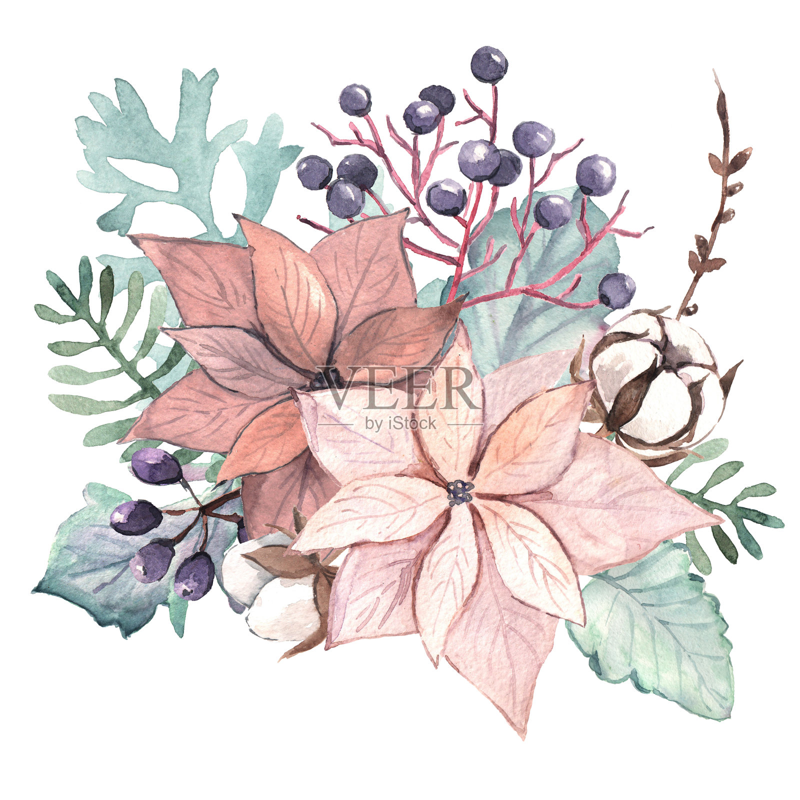 圣诞植物水彩插画。花架由棉花，蕨类，一品红，浆果。北欧自然的设计。插画图片素材