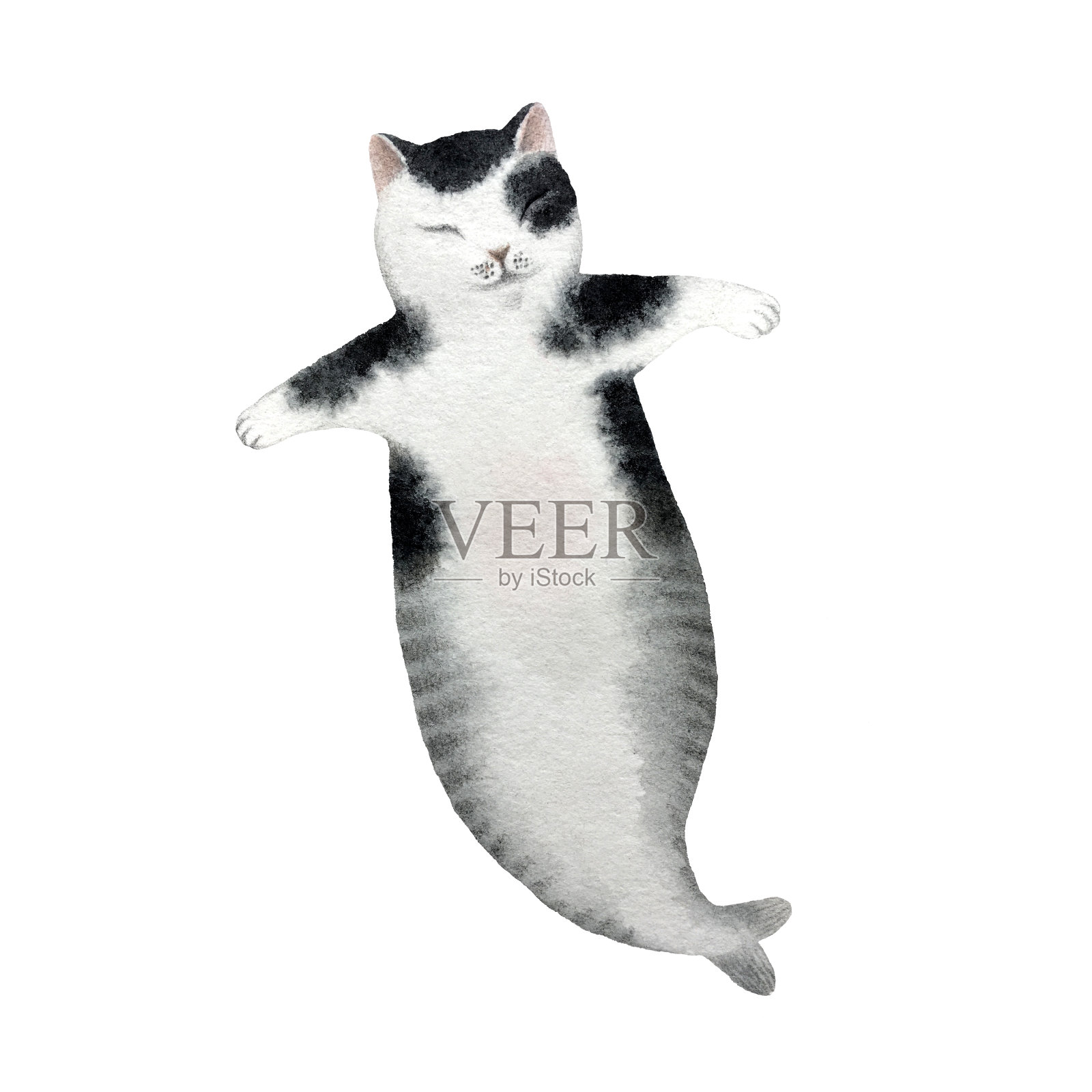 猫美人鱼设计元素图片