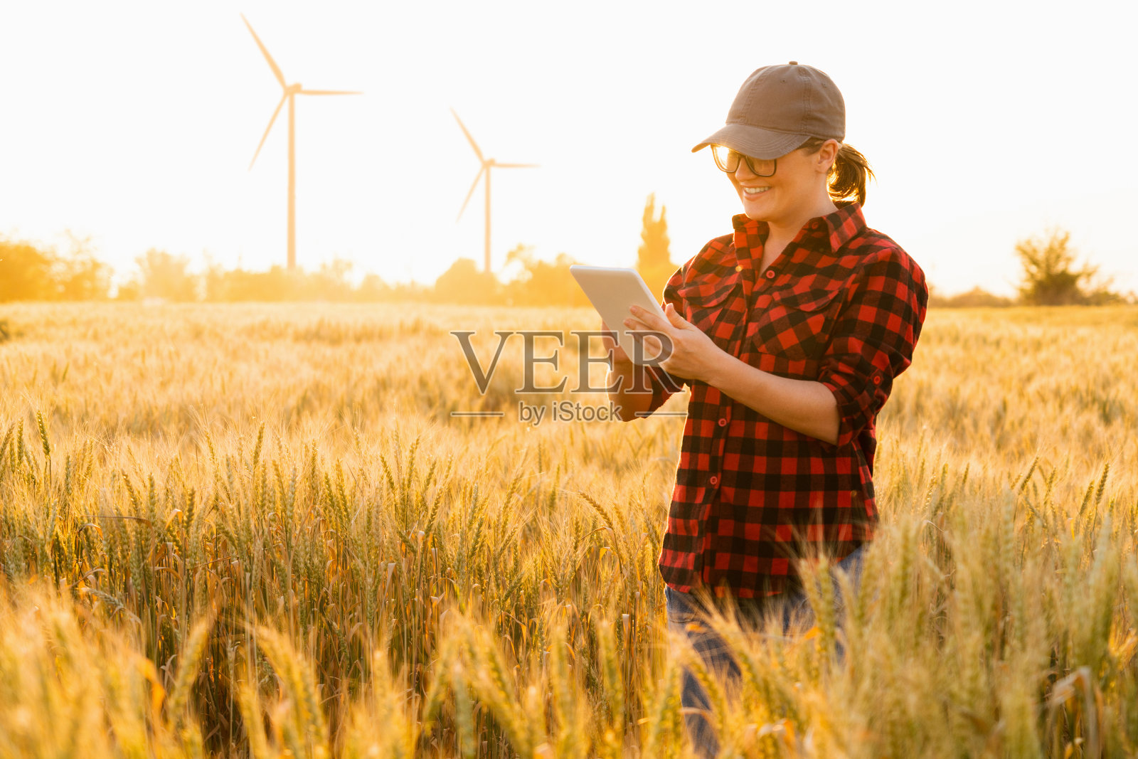 一位女农民正在检查田里的谷物，并将数据从平板电脑发送到云端照片摄影图片
