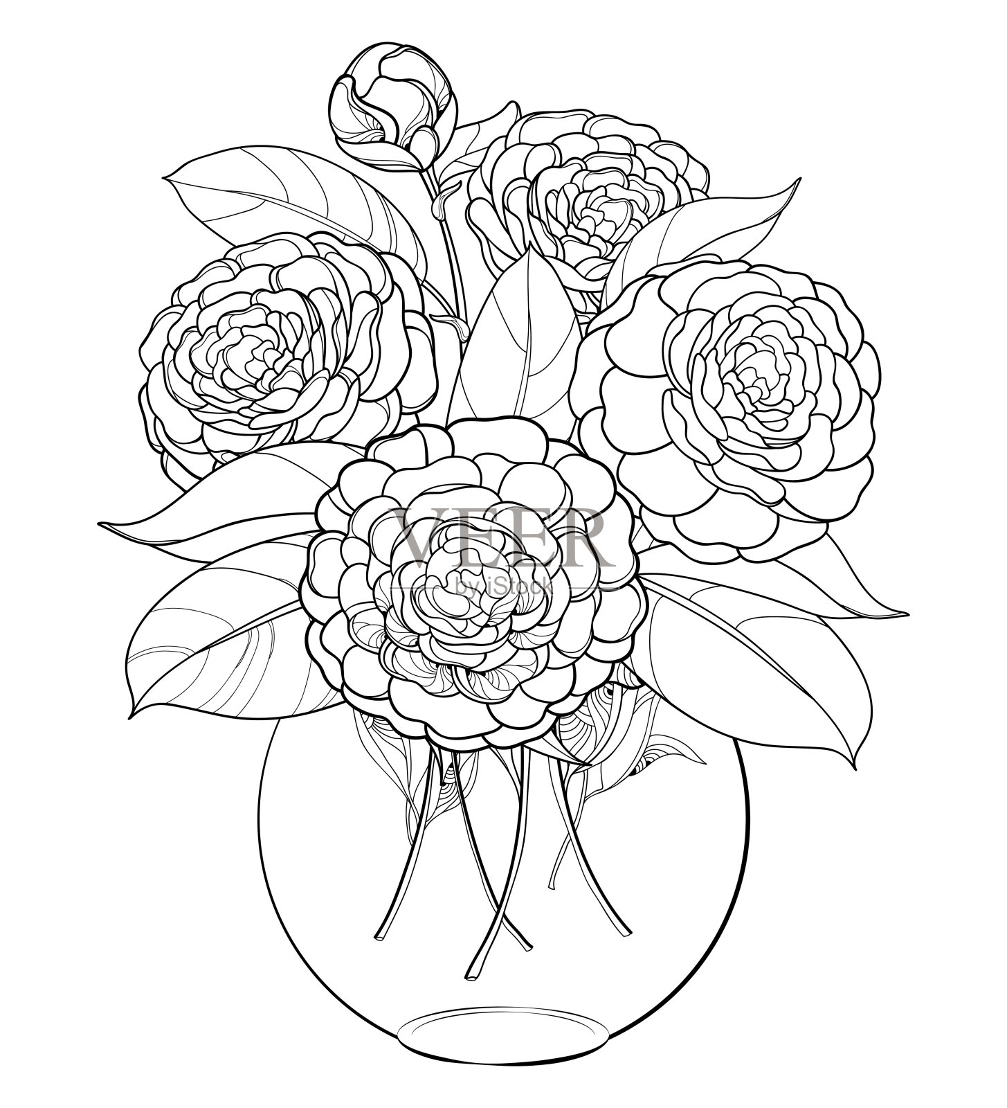 矢量花束与轮廓山茶花束，芽和叶在黑色圆形花瓶孤立在白色背景。插画图片素材