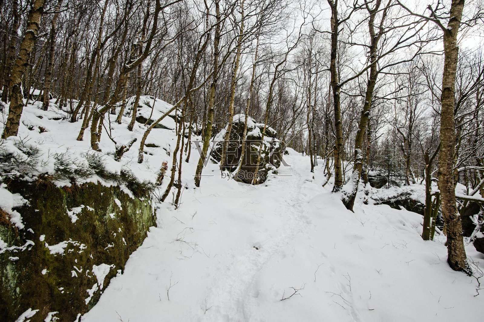 冬天的景色被雪覆盖着照片摄影图片
