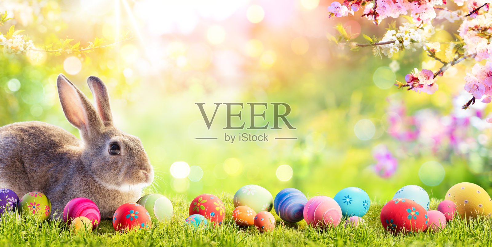 可爱的兔子与复活节彩蛋在花草地照片摄影图片