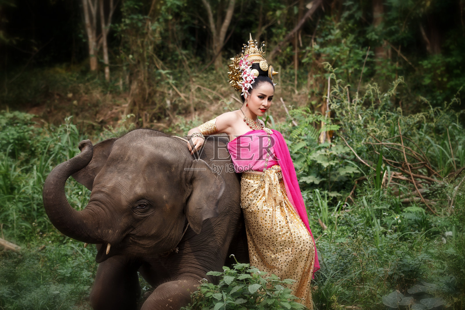 漂亮的泰国女孩穿着泰国传统服装和大象照片摄影图片