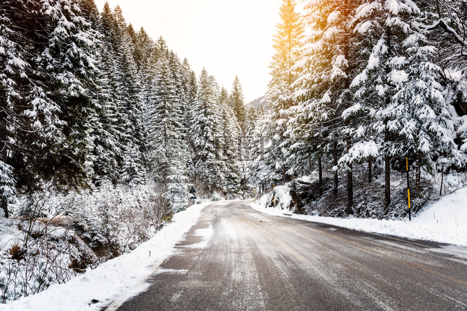 穿越阿尔卑斯山茂密森林的荒凉的冬季道路照片摄影图片