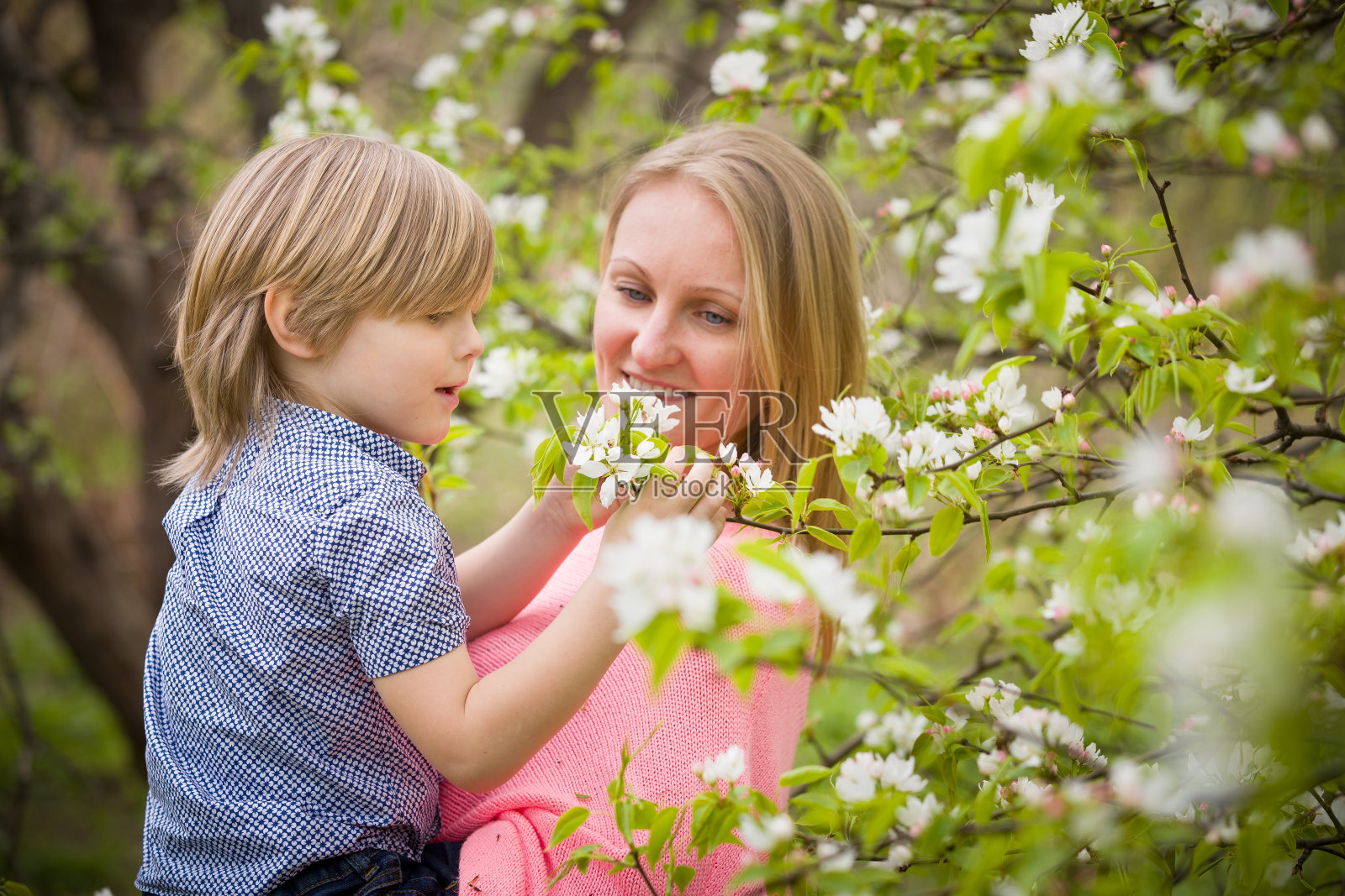 在一个阳光明媚的春天，美丽的金发女人抱着她可爱的小男孩在盛开的公园里。快乐的母亲和她的儿子享受苹果树花。妈妈和孩子在户外照片摄影图片
