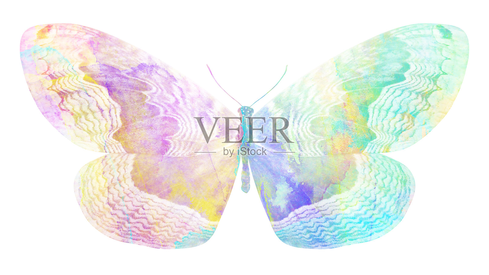 水彩蝴蝶。用于设计的热带昆虫。在白色背景上隔离插画图片素材