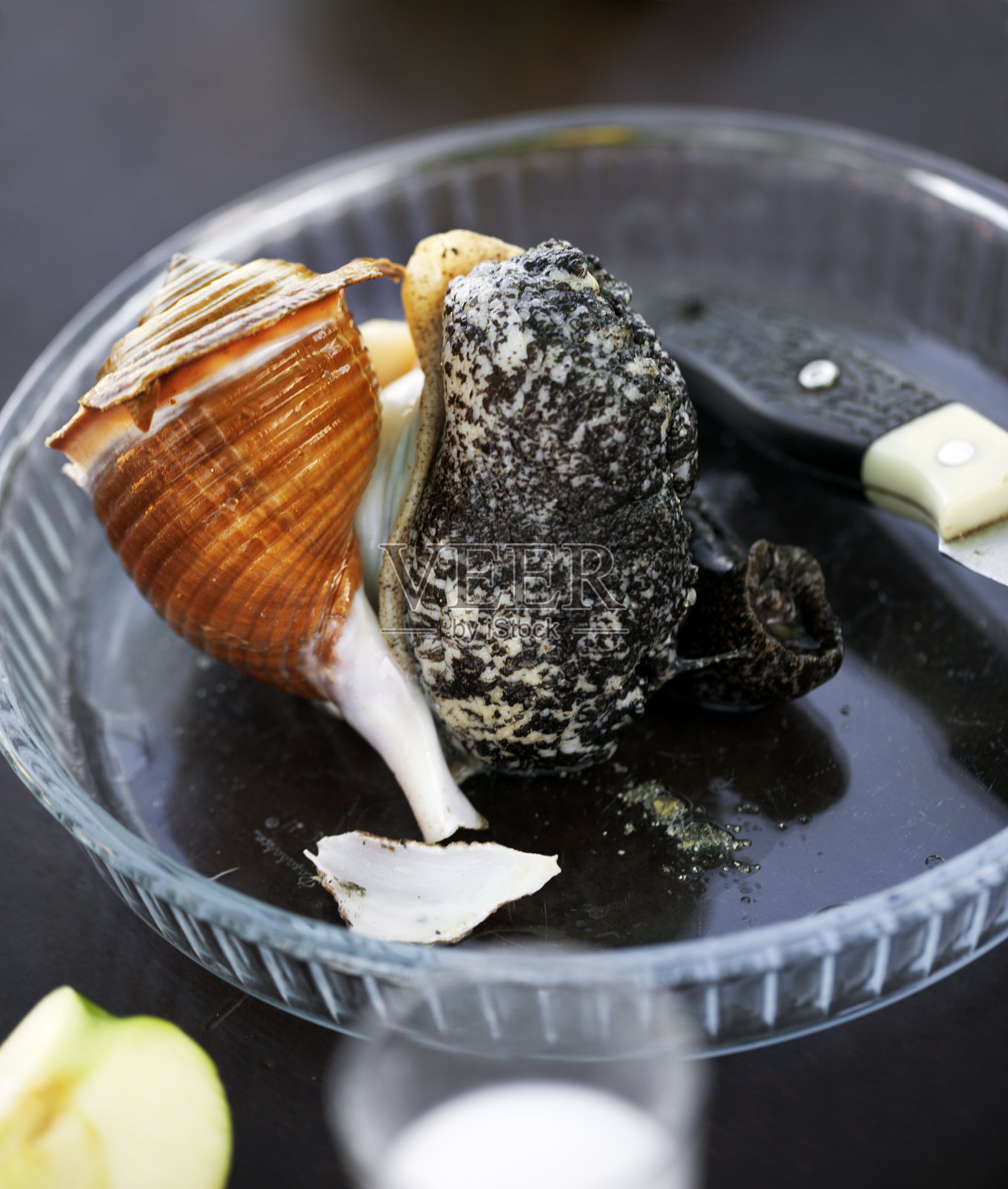 新鲜捕获的大碎生海螺放在玻璃板上照片摄影图片