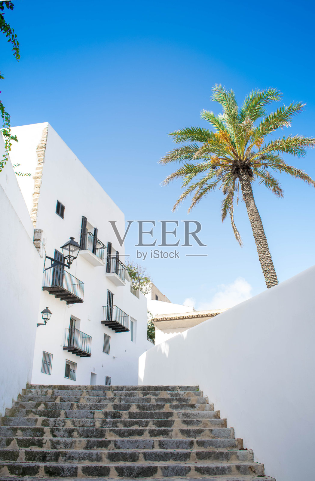 低角度的棕榈树和白色建筑对蓝色的天空在伊比沙老城，西班牙。照片摄影图片