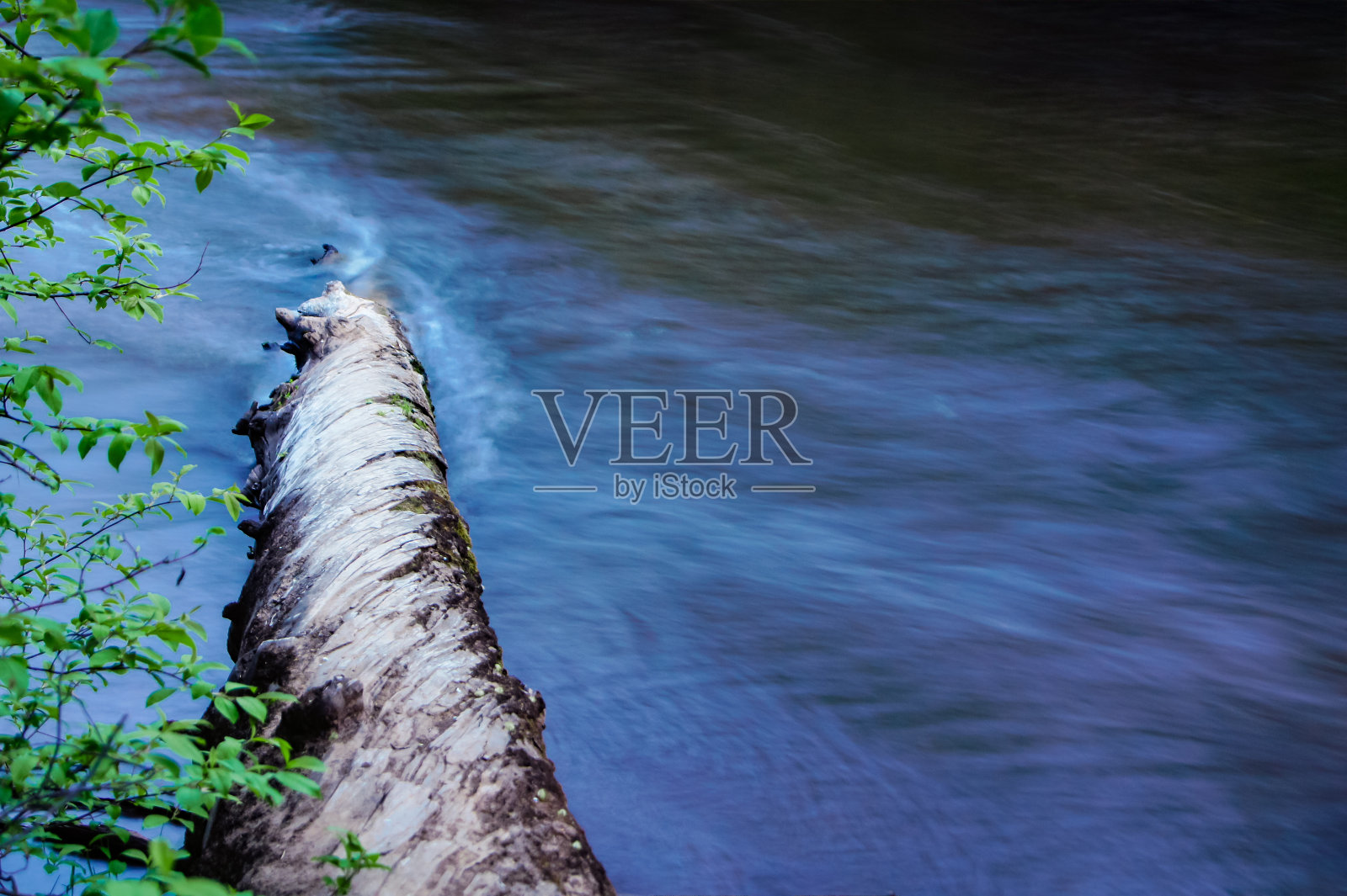 一股水流绕着一根早就落进河里的老树干。长时间曝光照片摄影图片