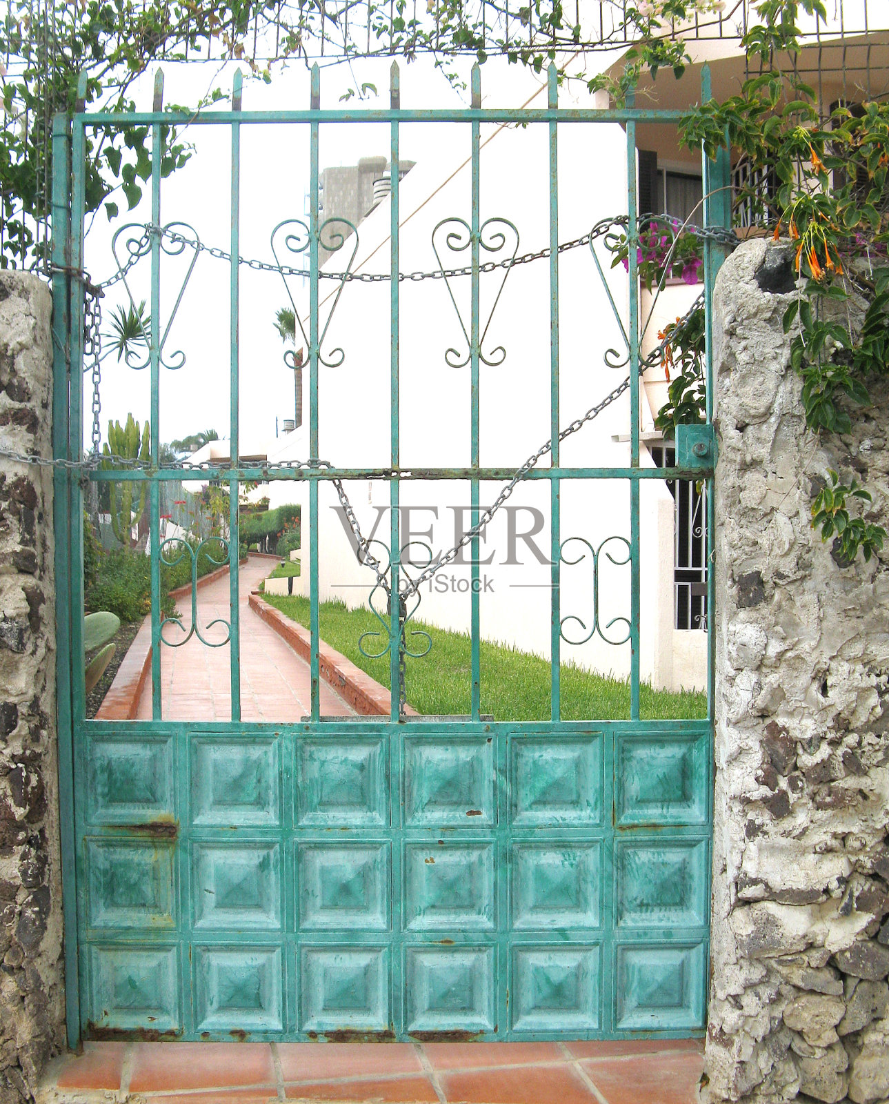 特内里费岛的绿门照片摄影图片