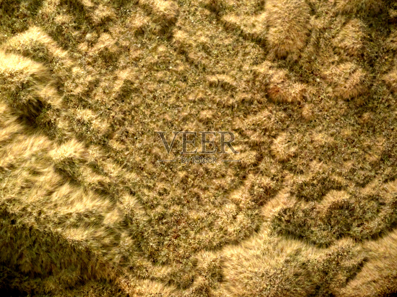 表面振动产生的松软砂粒。抽象的背景看起来像来自另一个星球的沙丘。照片摄影图片