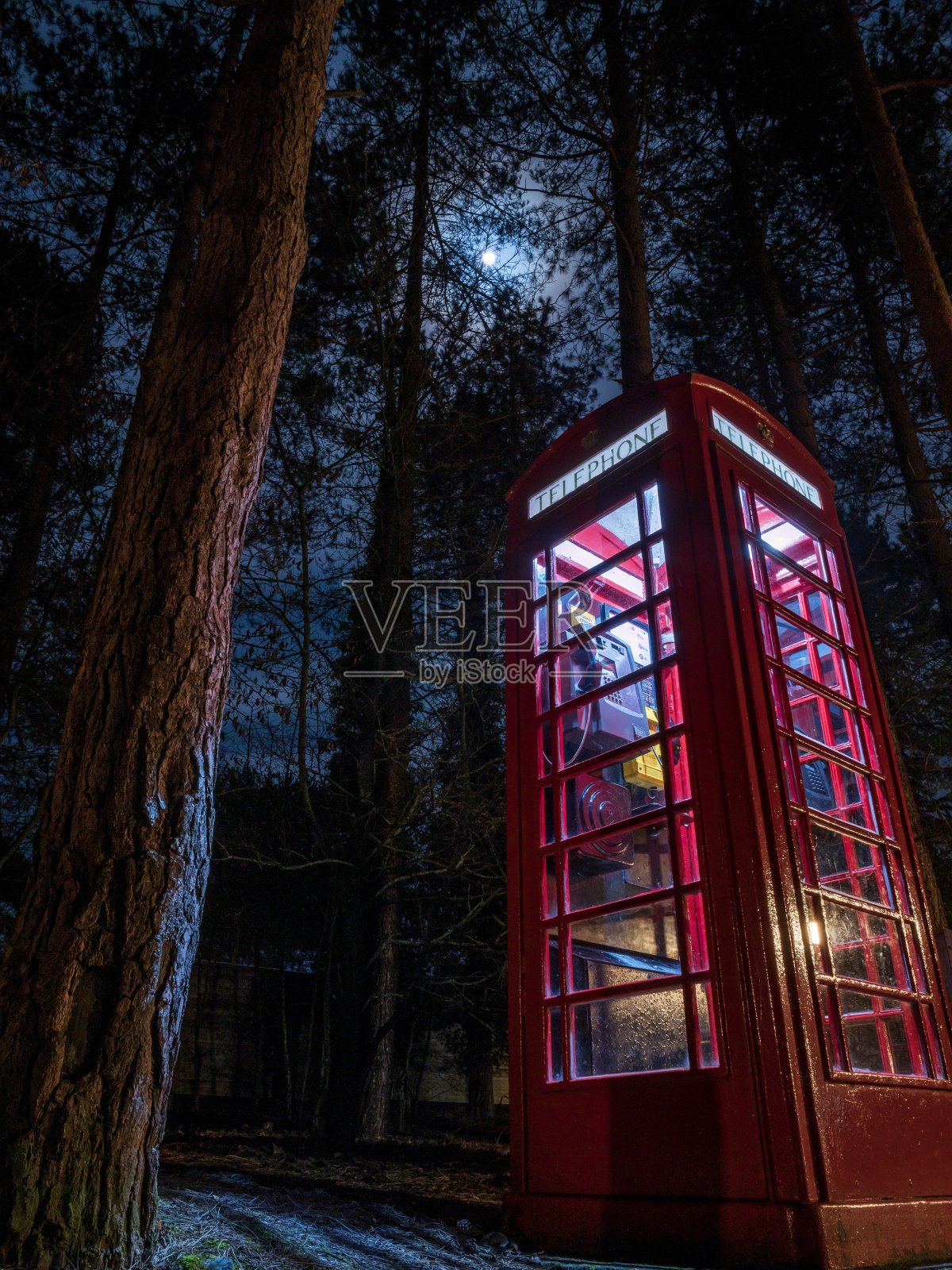 英国森林里的一个红色电话亭照片摄影图片
