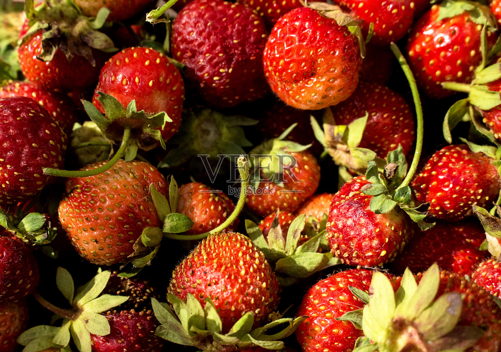 美味，成熟，芳香的草莓，特写照片摄影图片
