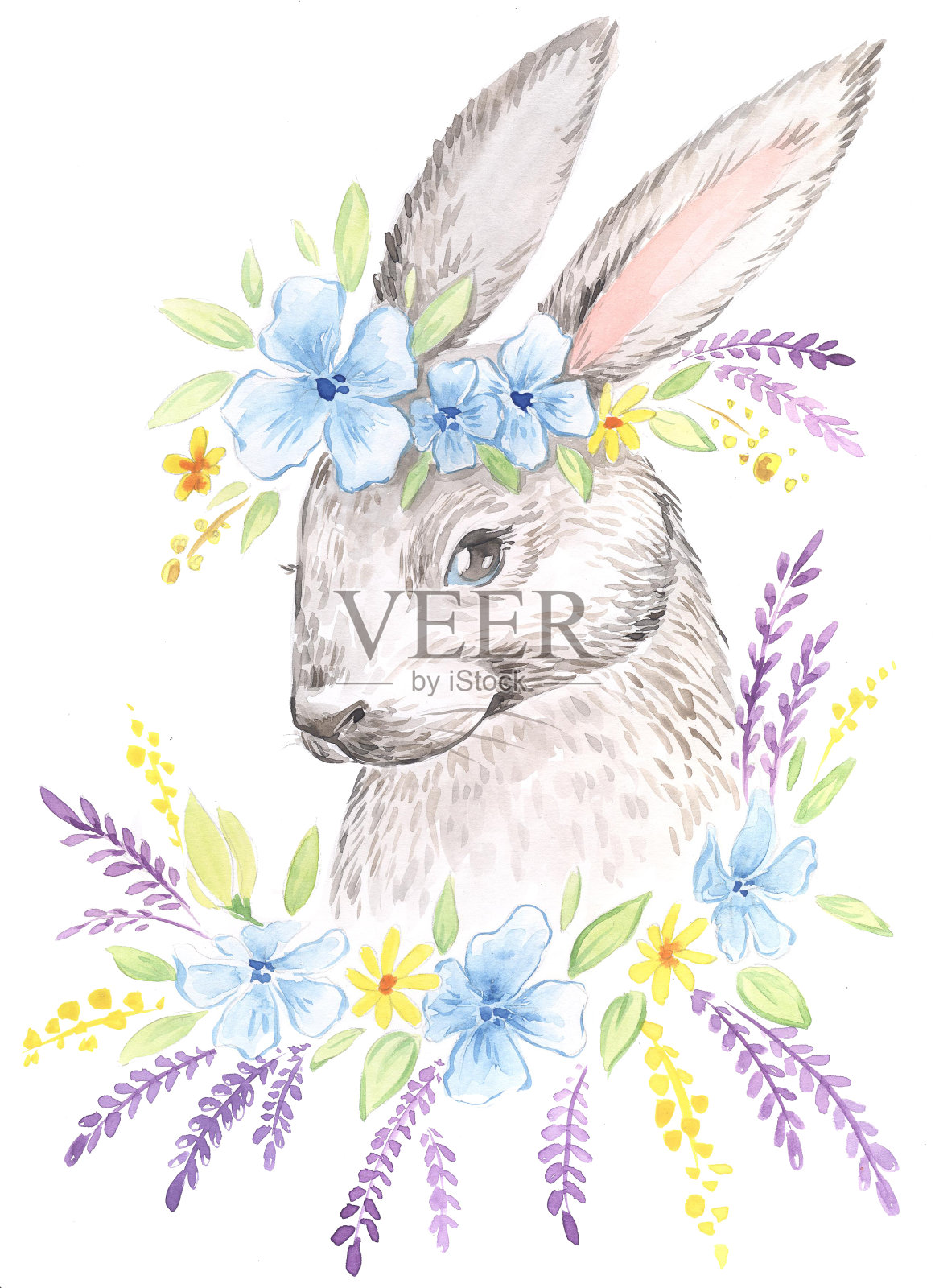 一只兔子和野花的水彩画插图插画图片素材