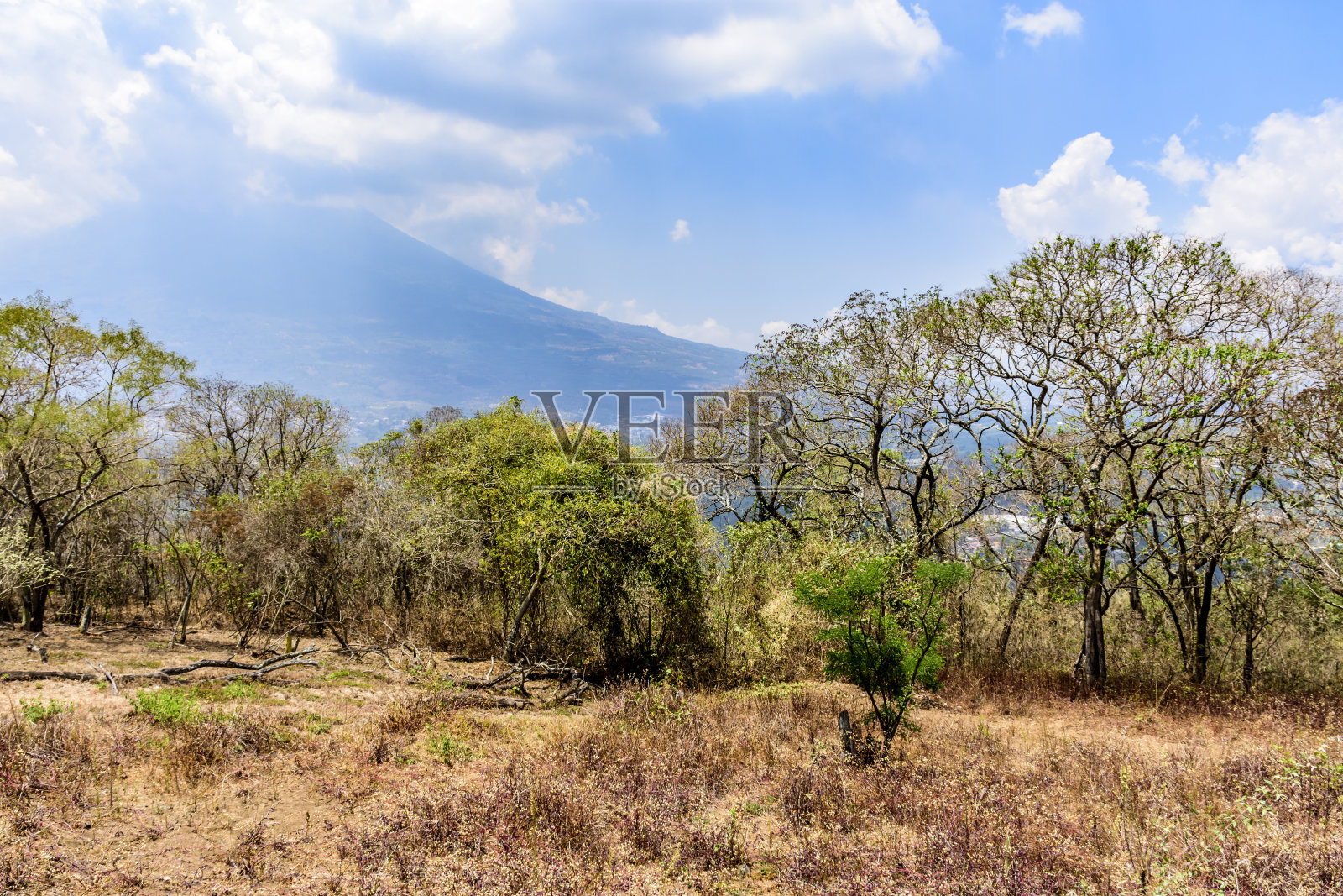 危地马拉安提瓜的干燥植被和阿瓜火山照片摄影图片