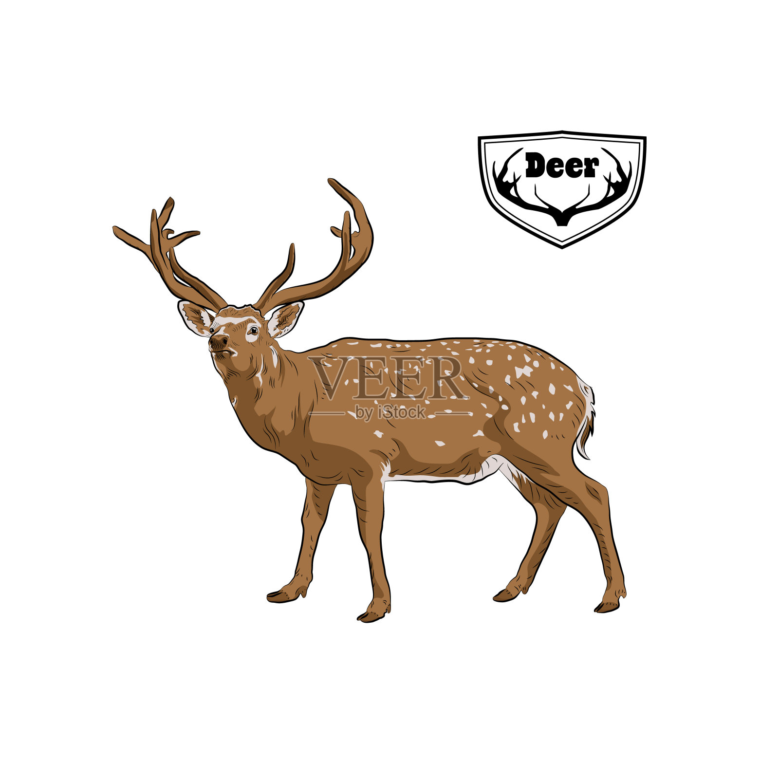 鹿。插画图片素材