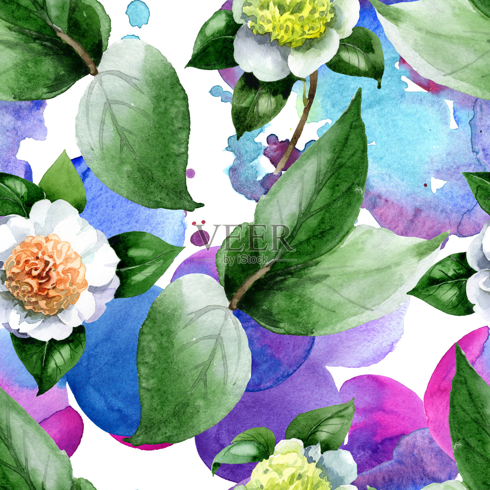 白色山茶属植物花。水彩背景插图集。无缝的背景图案。插画图片素材