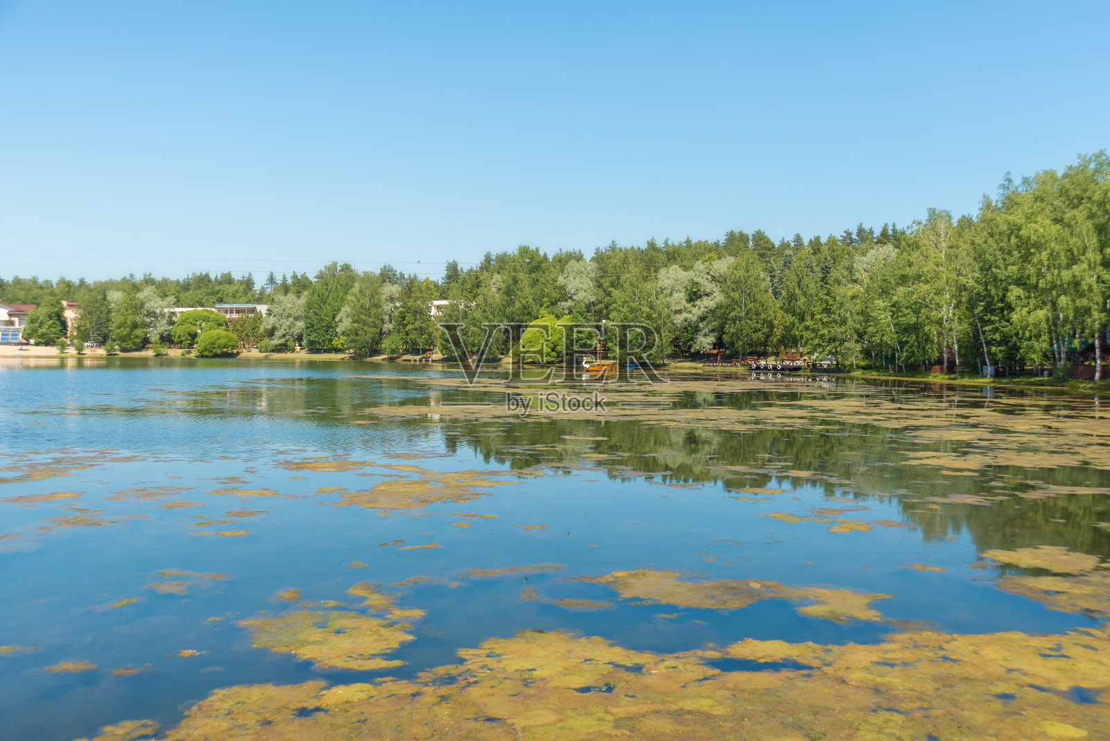 森林中的蓝色湖泊，俄罗斯的山水，美丽的自然照片摄影图片