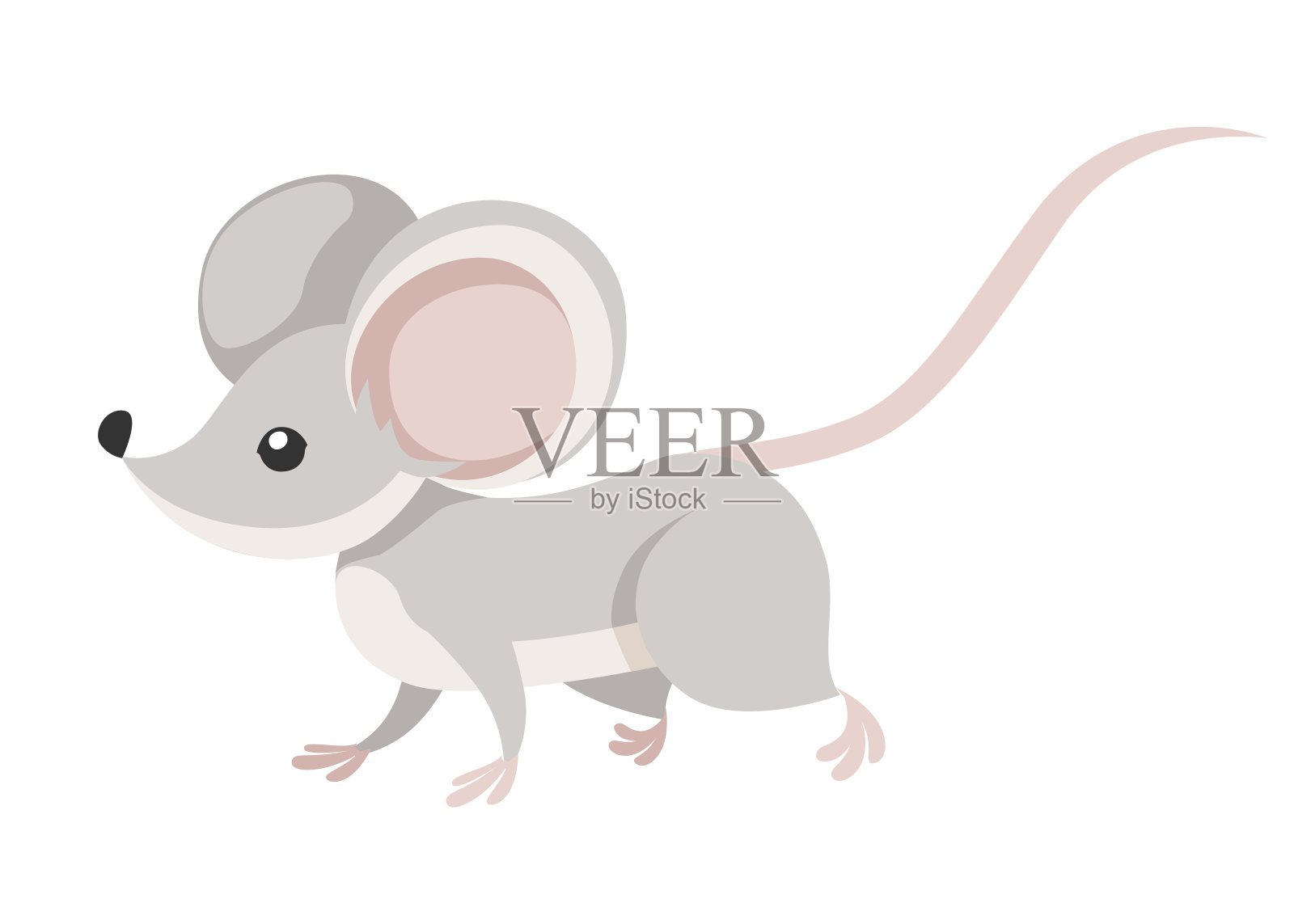可爱的小灰老鼠走路。卡通动物形象设计。平面矢量插图孤立在白色背景上设计元素图片