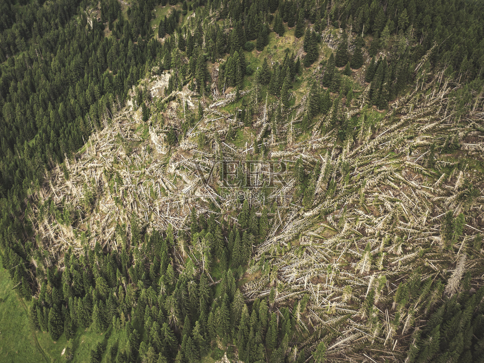 2018年意大利Dolomites地区风暴后的森林砍伐照片摄影图片