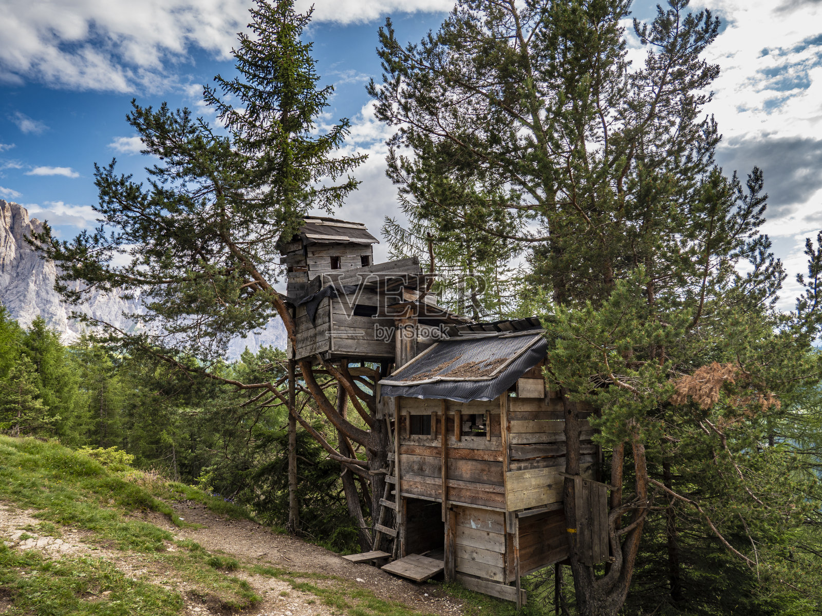 意大利Dolomites的树屋照片摄影图片