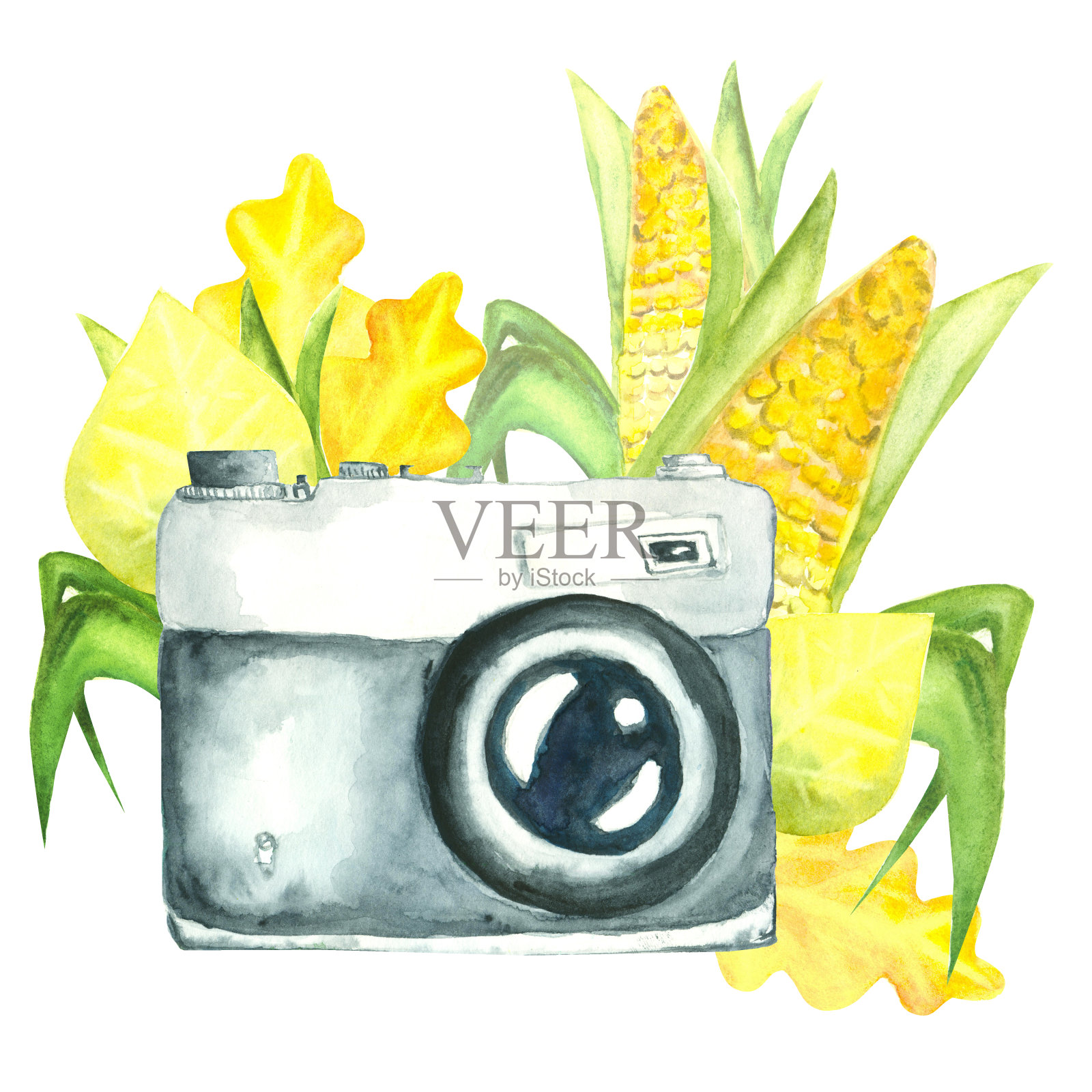 水彩复古相机装饰秋叶和新鲜玉米作为丰收和感恩节的概念插画图片素材