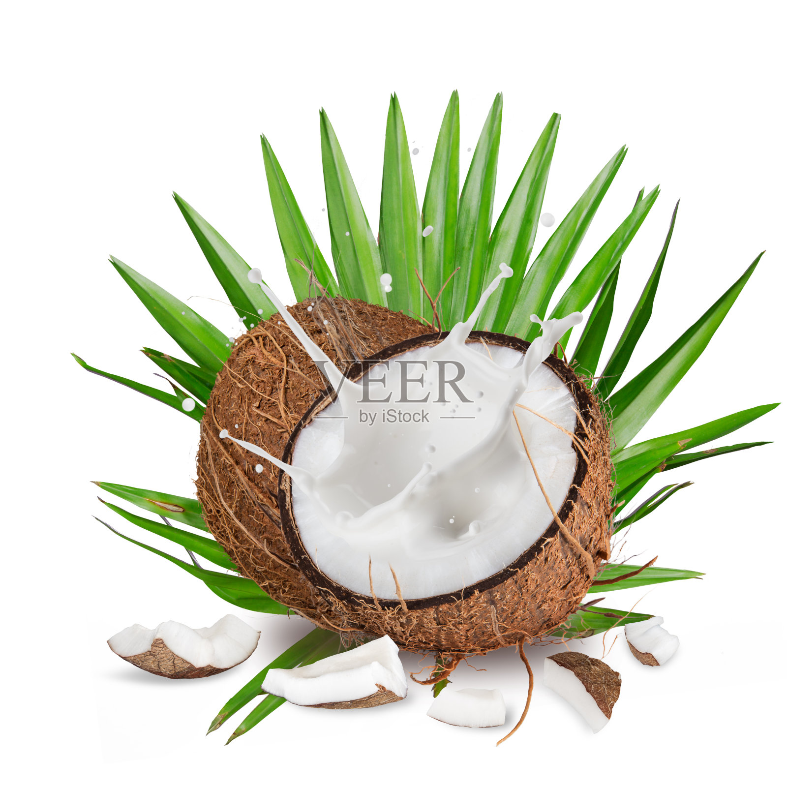 白色背景上的一个椰子的特写照片摄影图片
