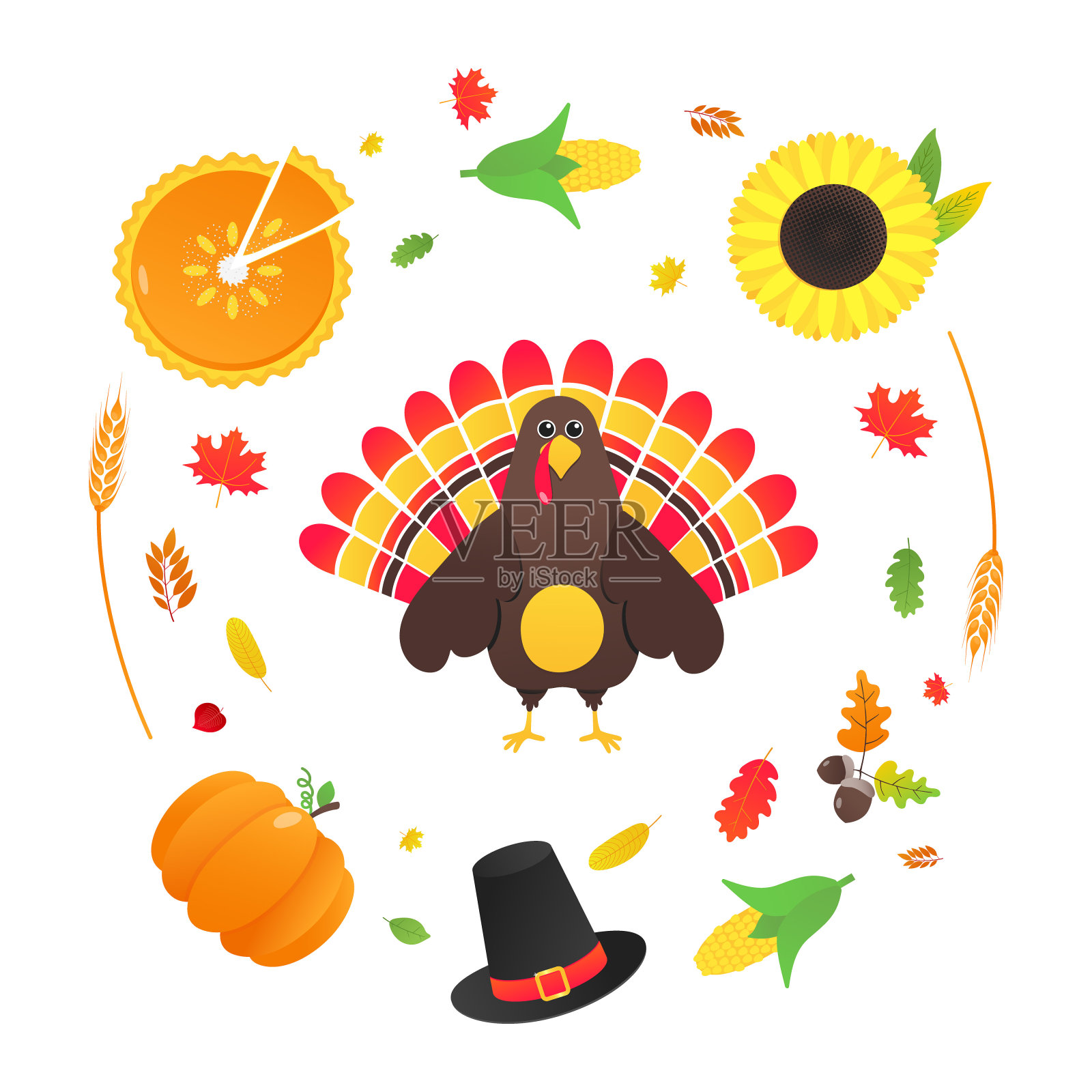 感恩节快乐平风格设计海报矢量插画与火鸡，秋叶，向日葵，玉米和南瓜。有帽子和彩色羽毛的火鸡庆祝节日。插画图片素材