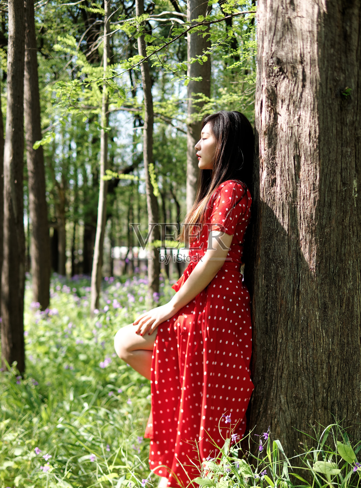 在阳光明媚的夏天，在森林公园里闭着眼睛，靠在树上的美丽年轻的黑发女人的肖像。户外时尚写真魅力中国时尚淑女。照片摄影图片