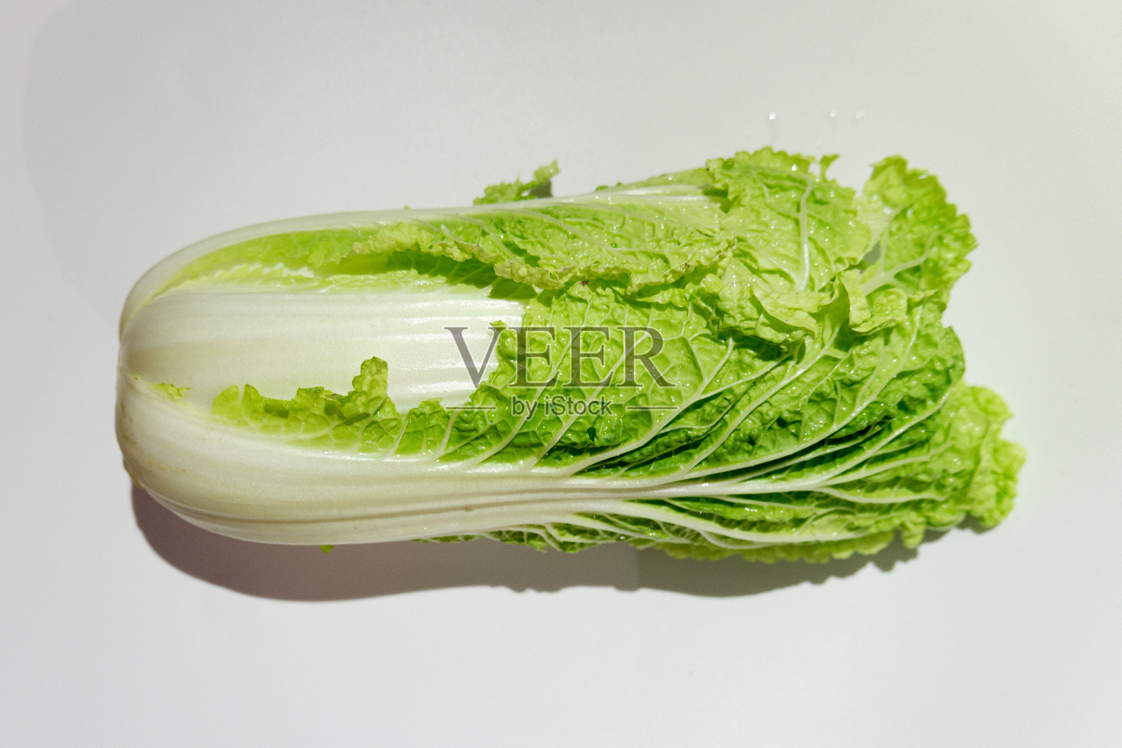 白色背景上的新鲜白菜。照片摄影图片
