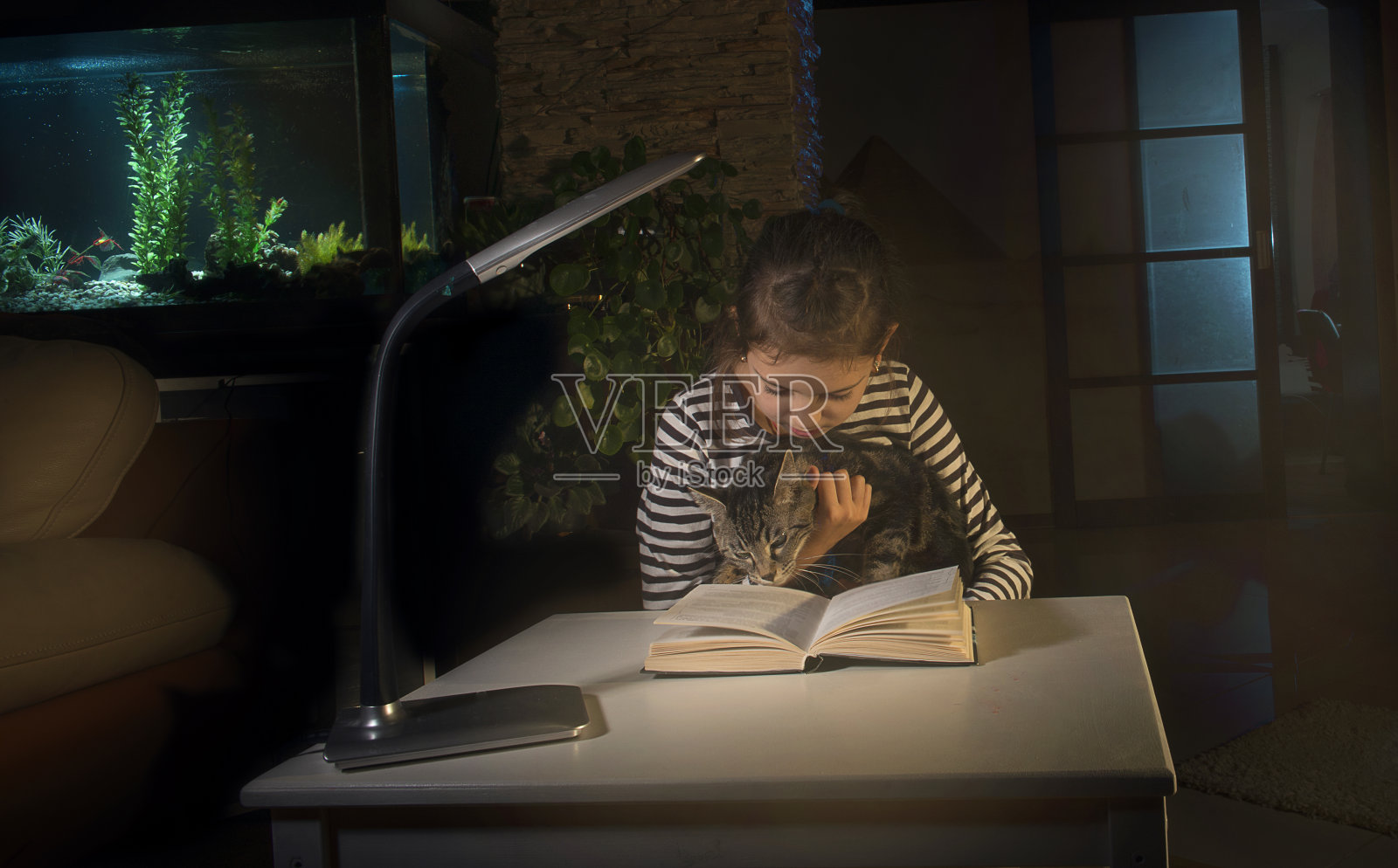那个女孩晚上在看书，旁边有一只猫。照片摄影图片