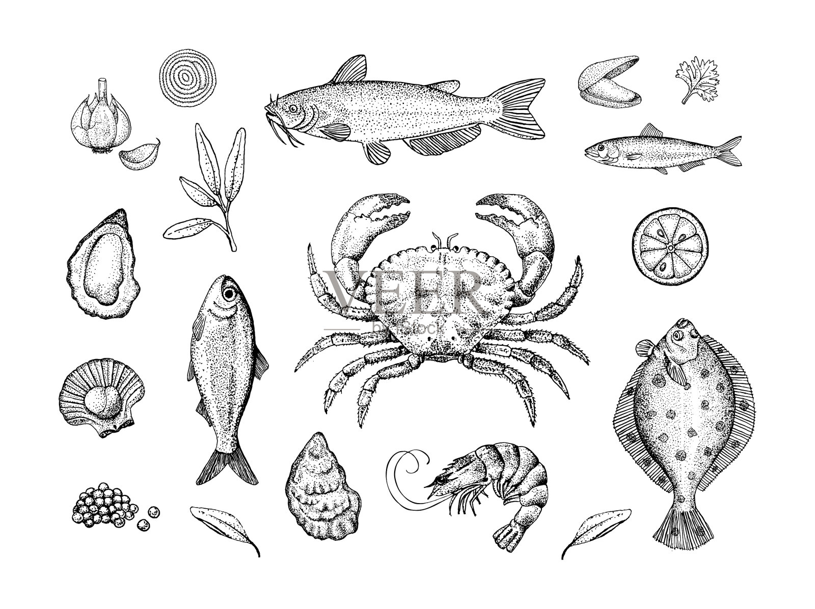 海鲜-鱼、药草、调味品，用点画技法手绘设计模板素材
