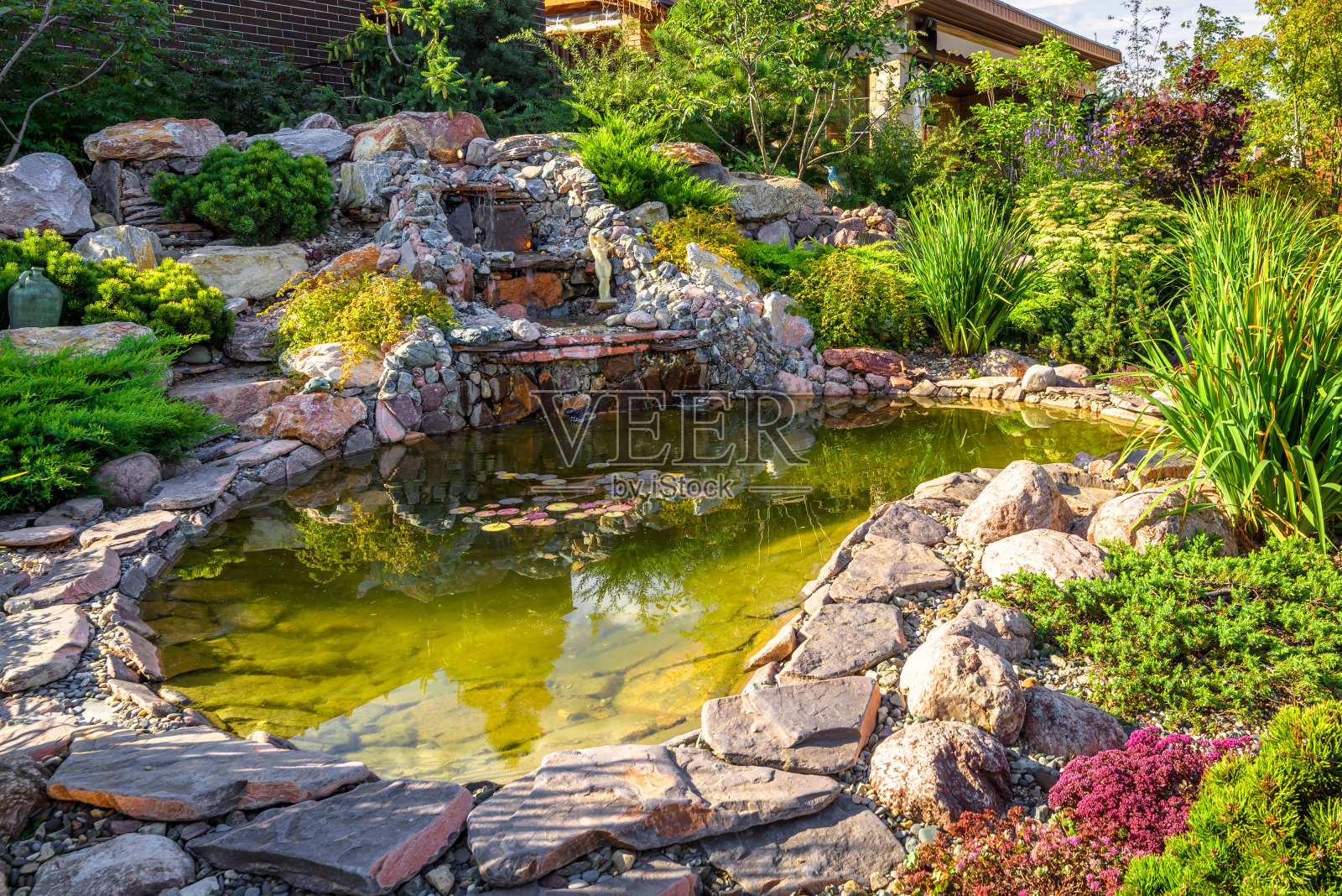 家庭花园景观设计特写。美丽的景观有小池塘和瀑布。照片摄影图片