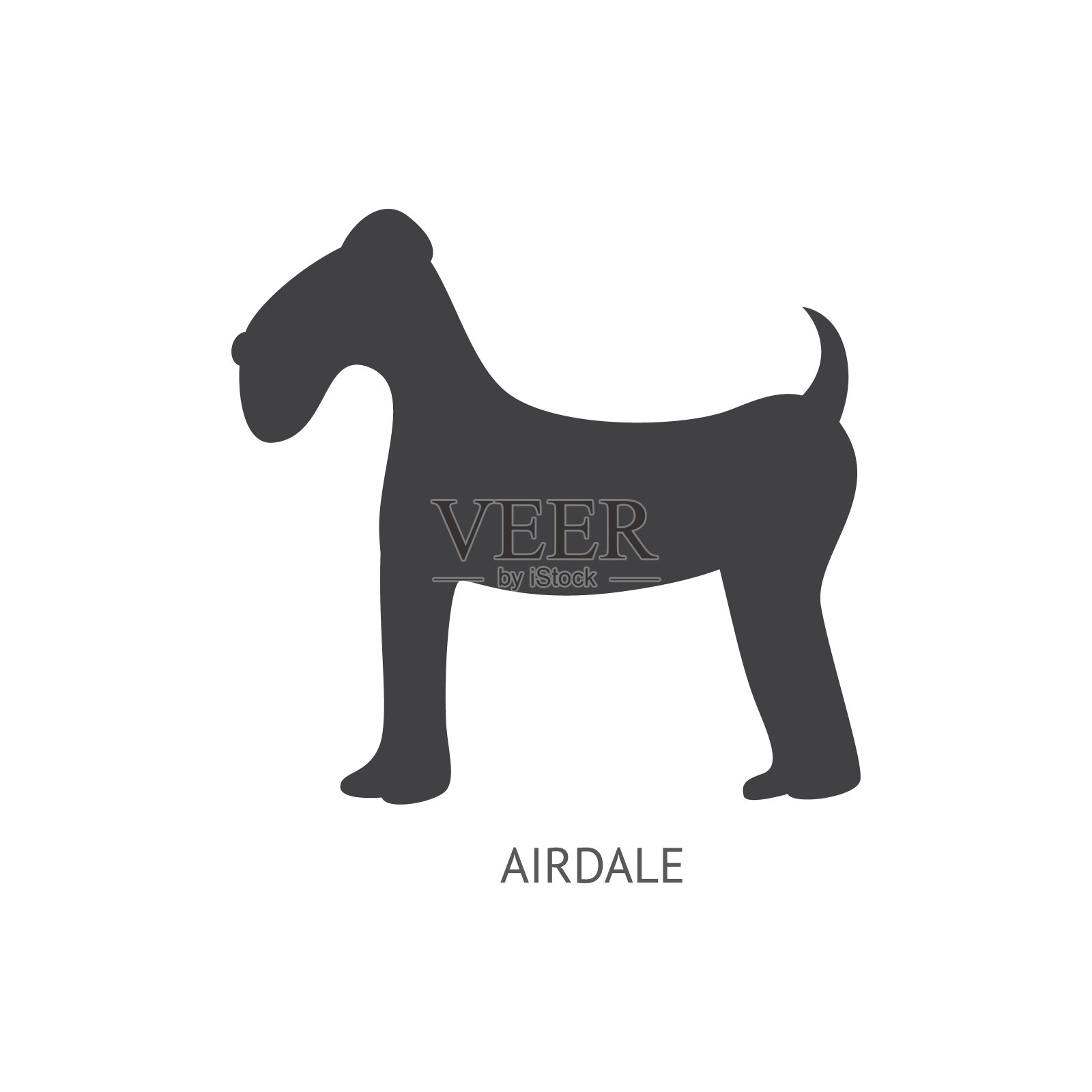 Airdale品种犬或幼犬在轮廓轮廓矢量插图孤立。设计元素图片