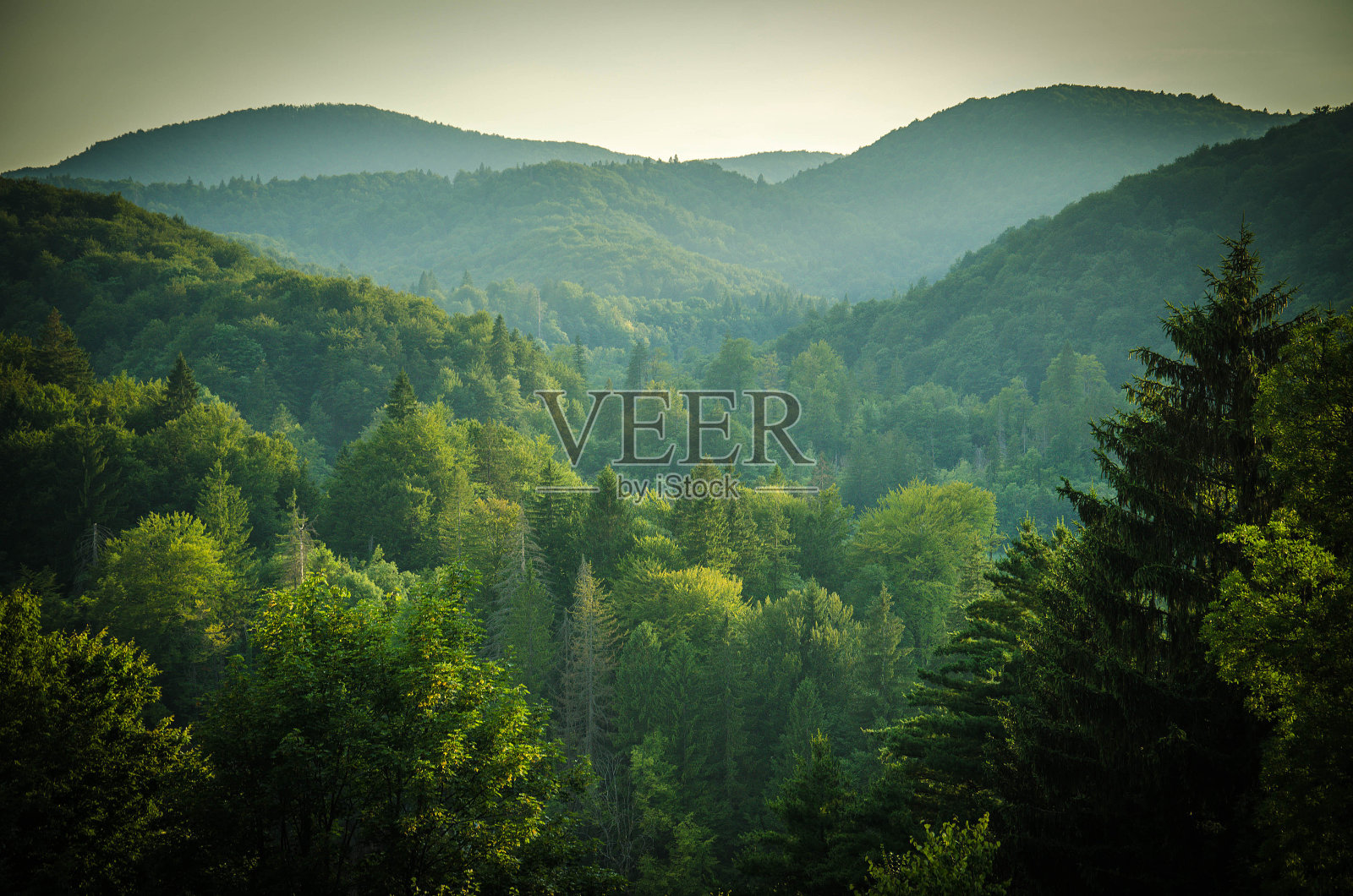森林和绿色的山丘，普利特维茨湖国家公园，克罗地亚，欧洲照片摄影图片