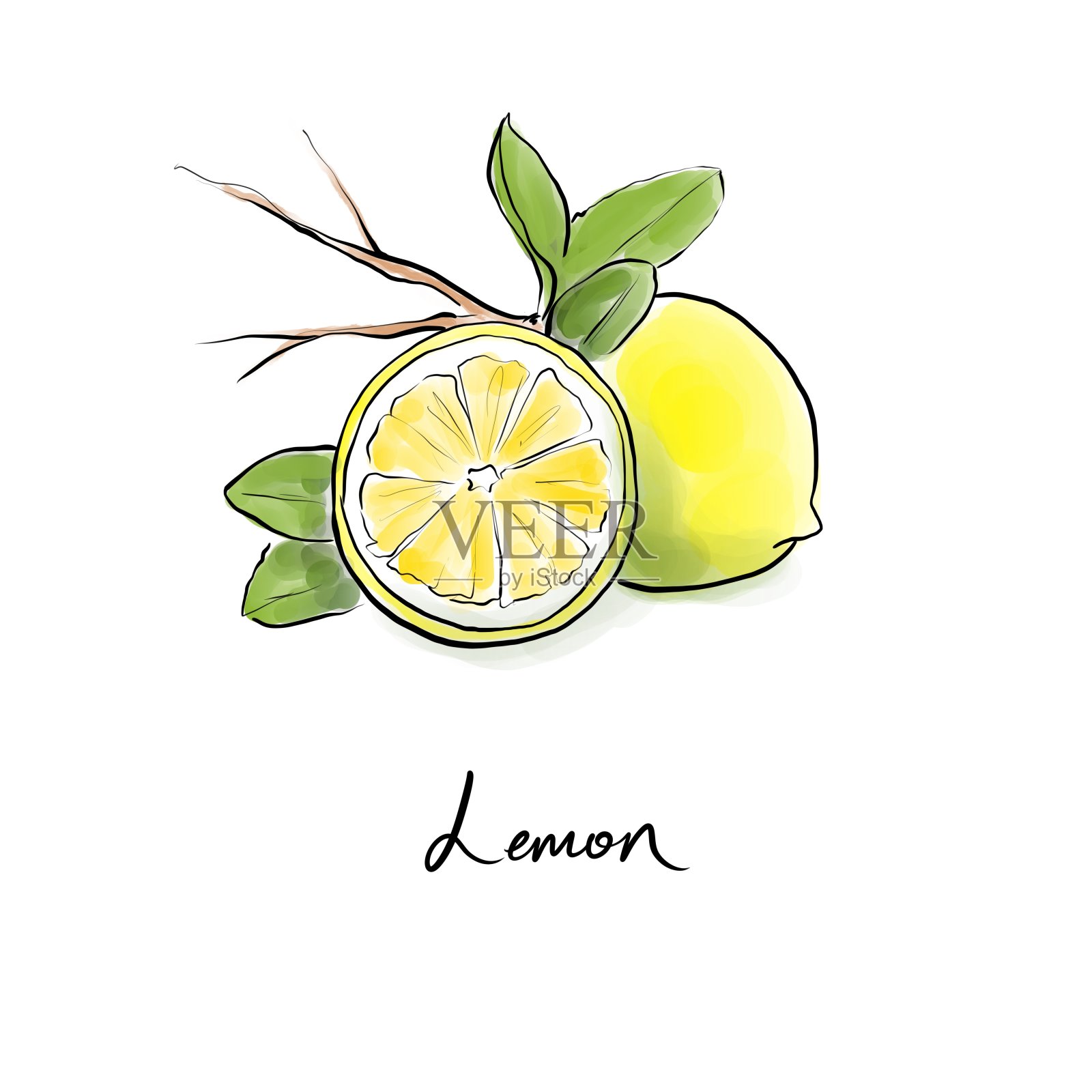 柠檬手绘图形水果和艺术写作与黑色线条和鲜明的颜色，柠檬插画图片素材