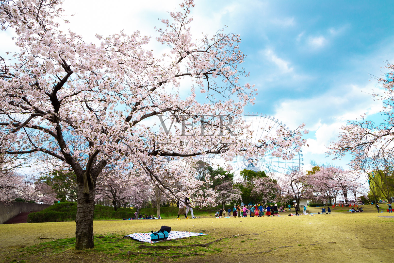 日本大阪的春天公园照片摄影图片