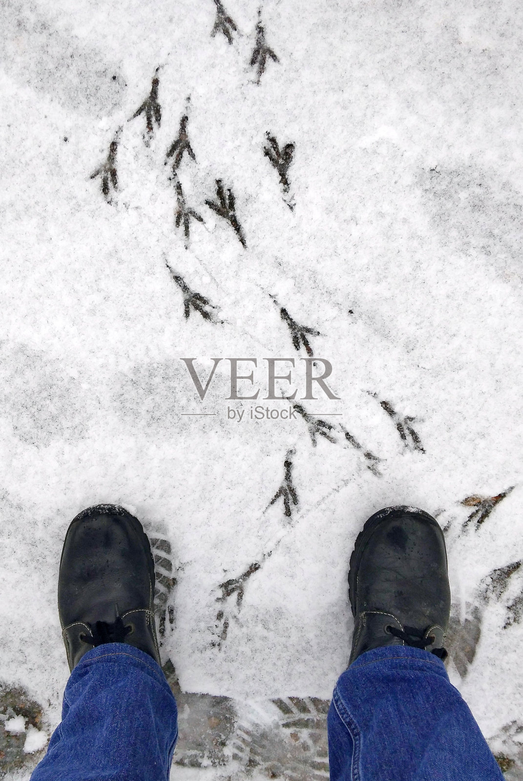 脚踩在雪地上留下了痕迹。照片摄影图片
