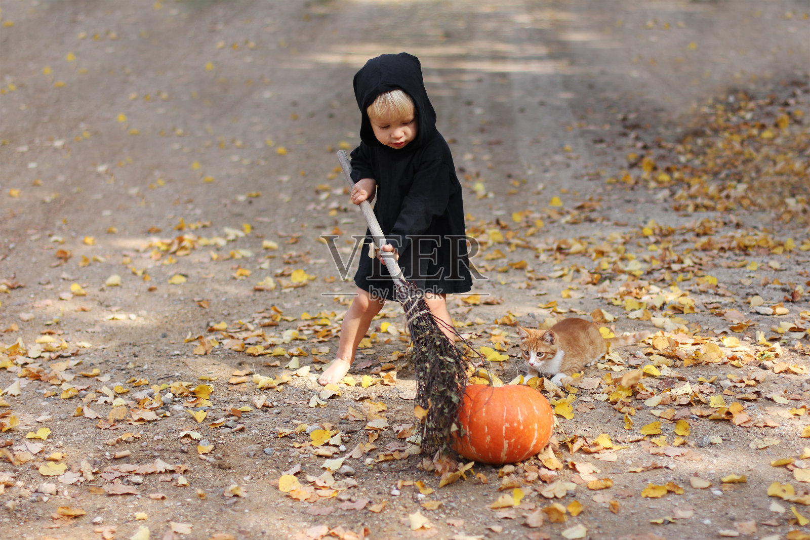 孩子在万圣节穿着黑色巫师服和扫帚和猫站在鲜橘南瓜旁边，用扫帚碰南瓜，小姜猫坐在他旁边，秋叶飘落照片摄影图片