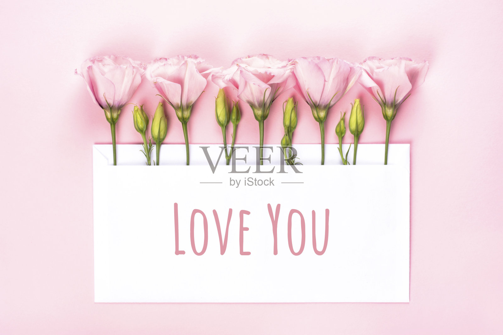 爱你的横幅。海口花插花，空白卡片，浅粉色背景。照片摄影图片