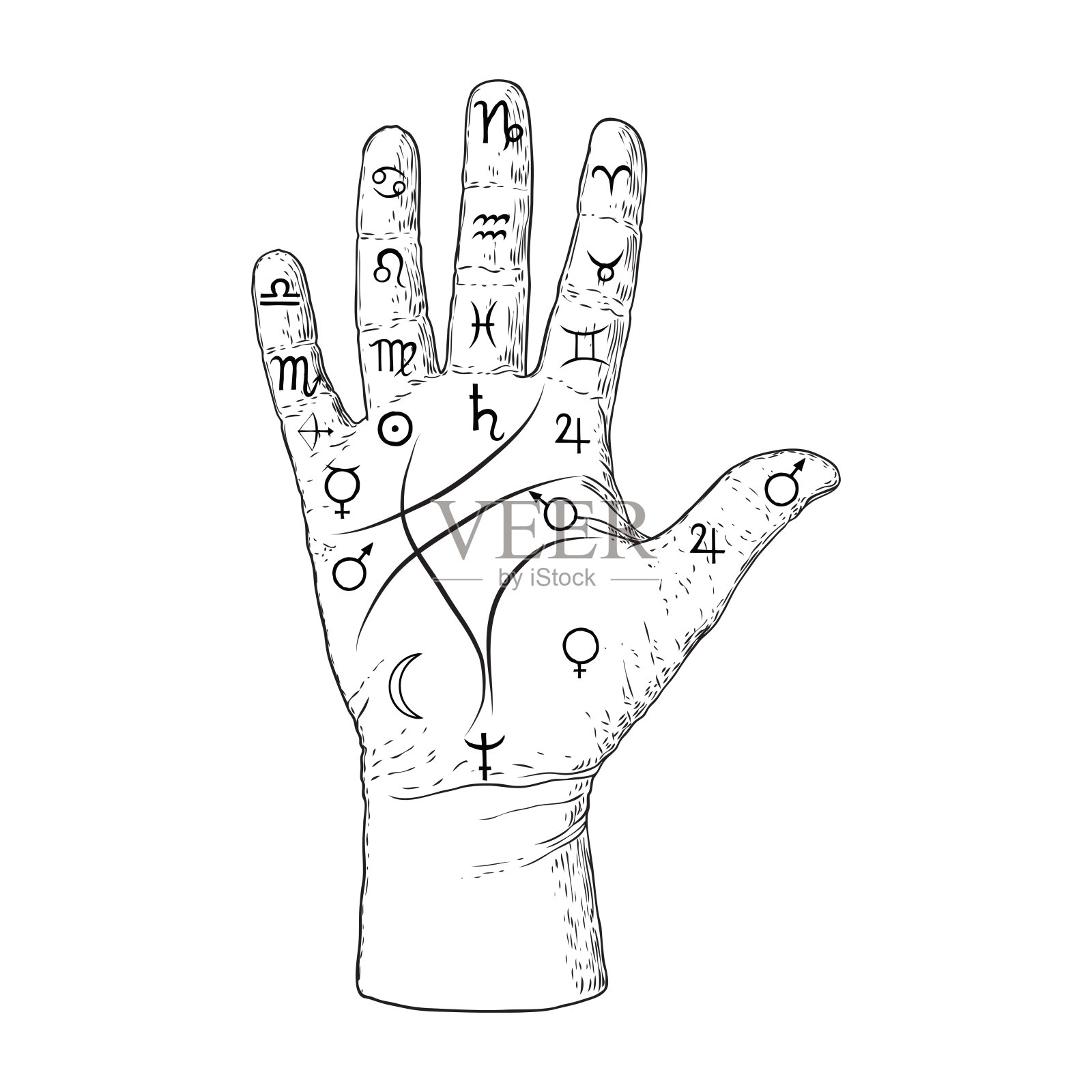 手相术。神秘的神秘符号在手，手掌预言或阅读设计。手绘。向量。插画图片素材