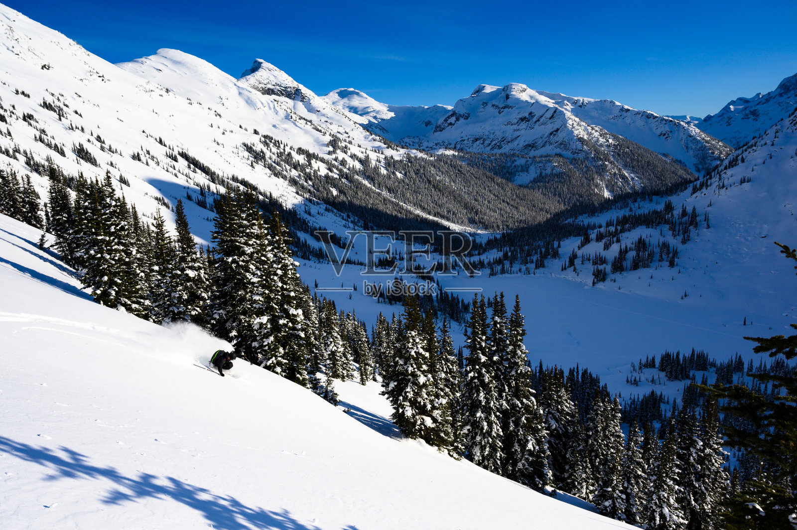 在滑雪假期中用新鲜的粉末滑雪照片摄影图片