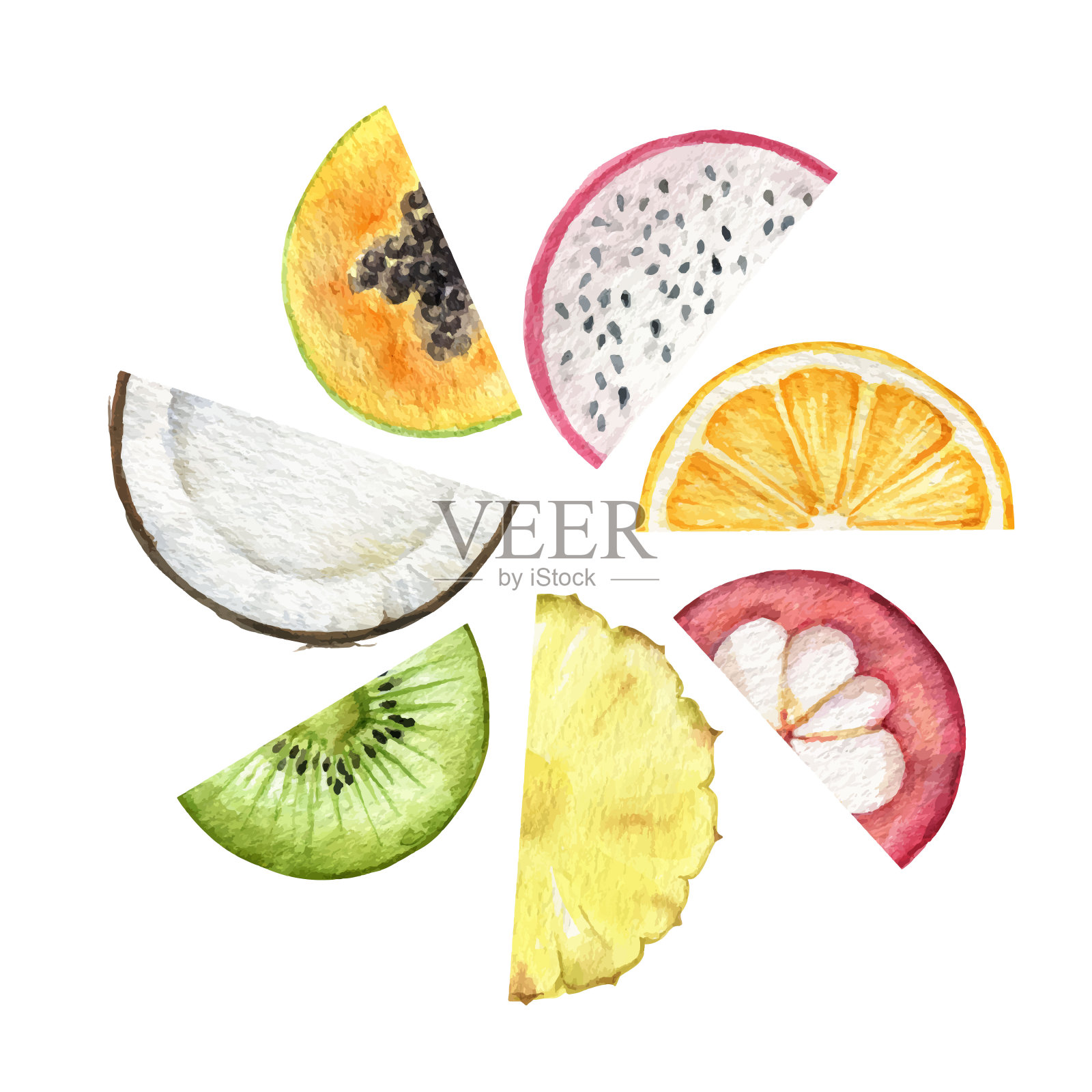 水彩向量手绘一套异国情调的水果。插画图片素材
