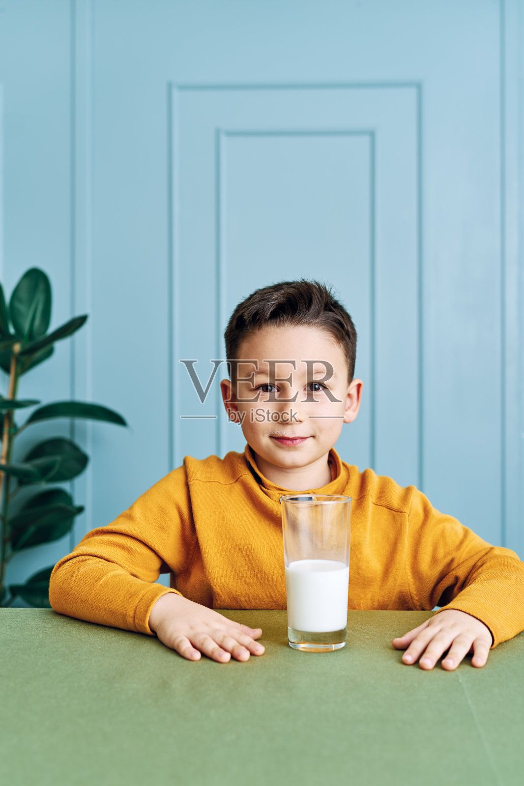 6-7岁可爱的孩子在桌上喝牛奶。他知道他需要喝牛奶来保持骨骼健康。他喜欢牛奶。照片摄影图片