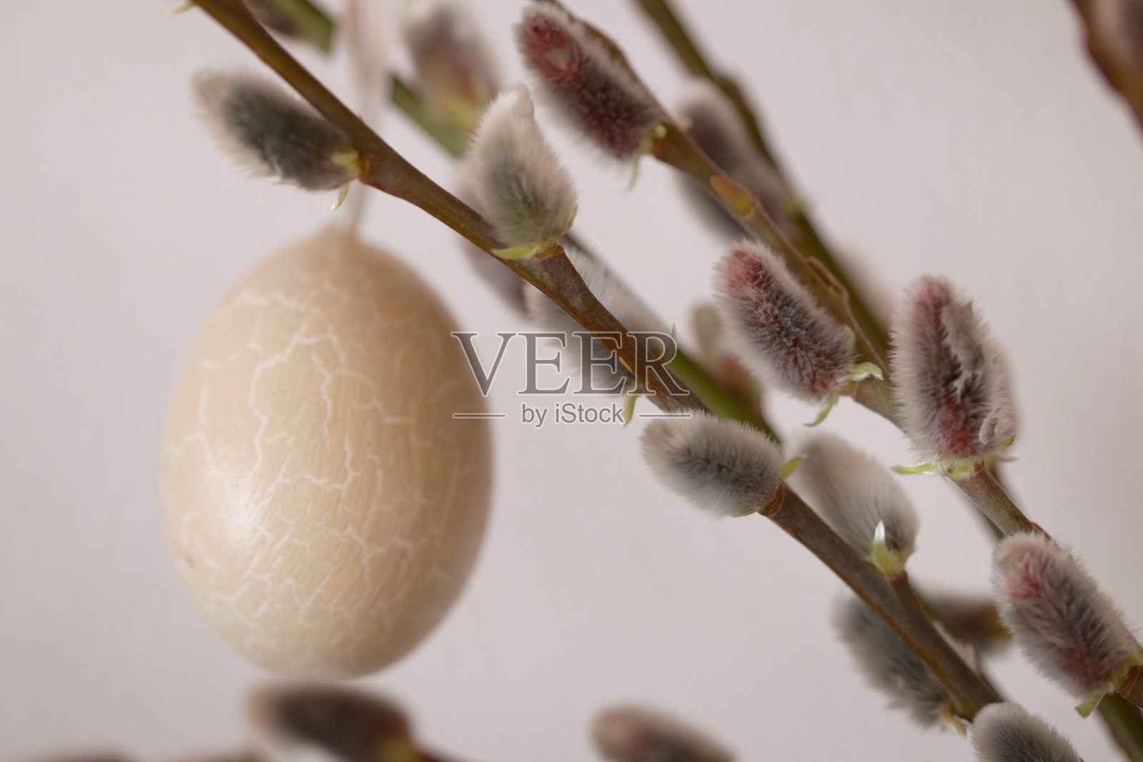 复活节的时间。米色的复活节装饰蛋放在柳条上。春节复活节背景以灰色和米色柔和的色彩。照片摄影图片