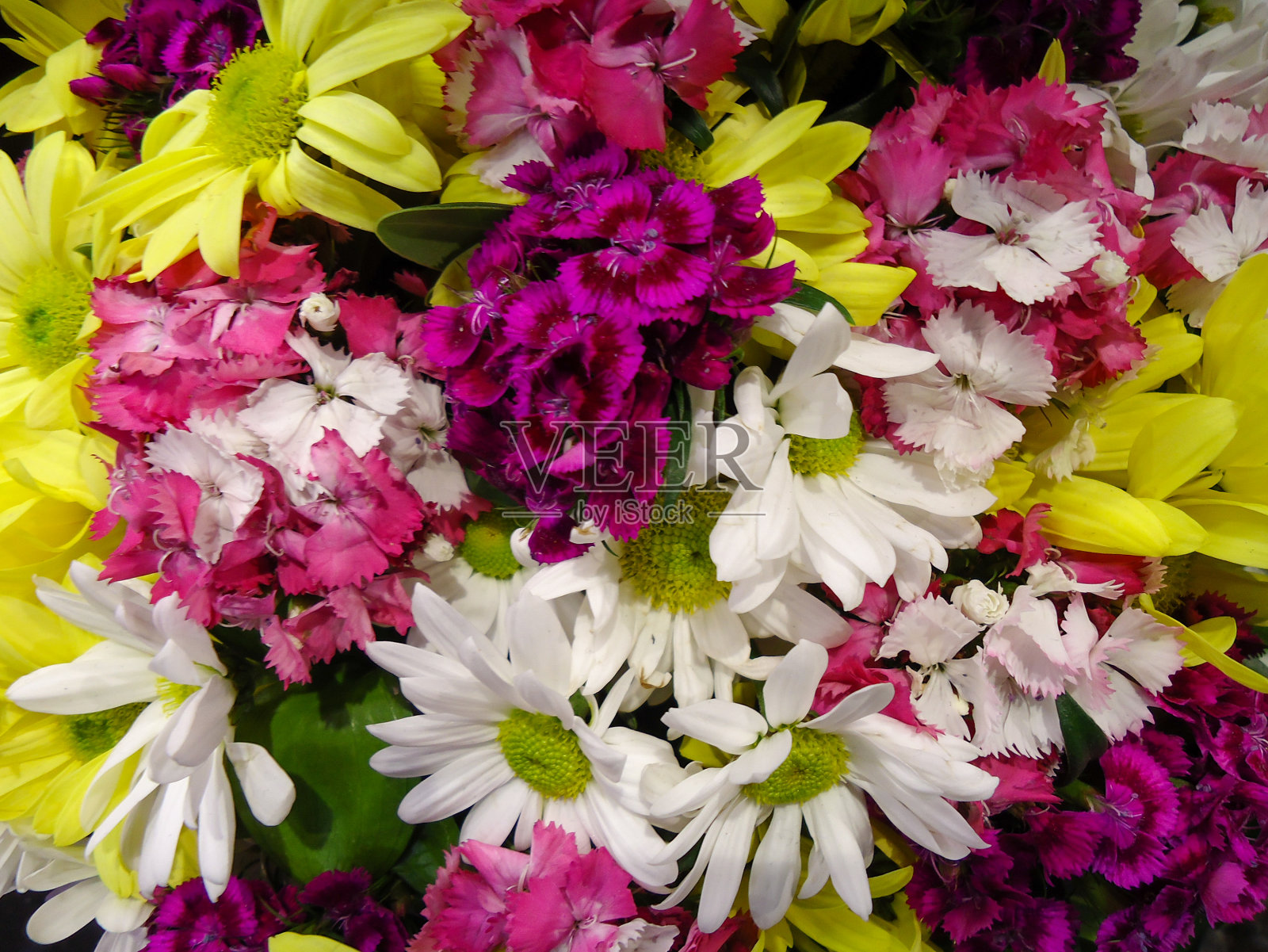 色彩鲜艳的鲜花束照片摄影图片