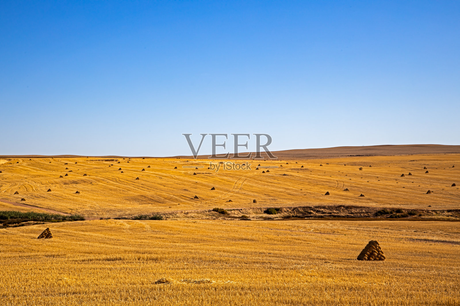 西开普收割小麦后的干草堆照片摄影图片