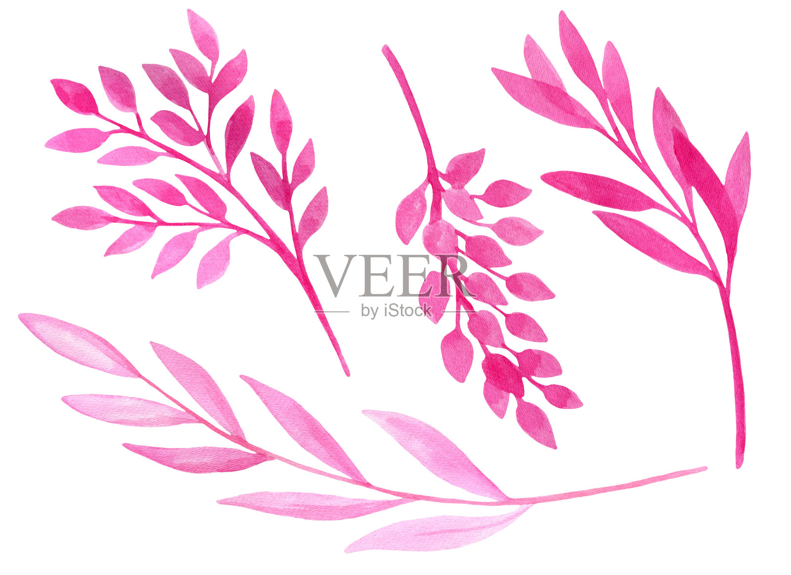 水彩粉红色的树叶和树枝集。手绘植物孤立在白色背景。浪漫的元素收集，卡片，包装，装饰，纺织品。插画图片素材